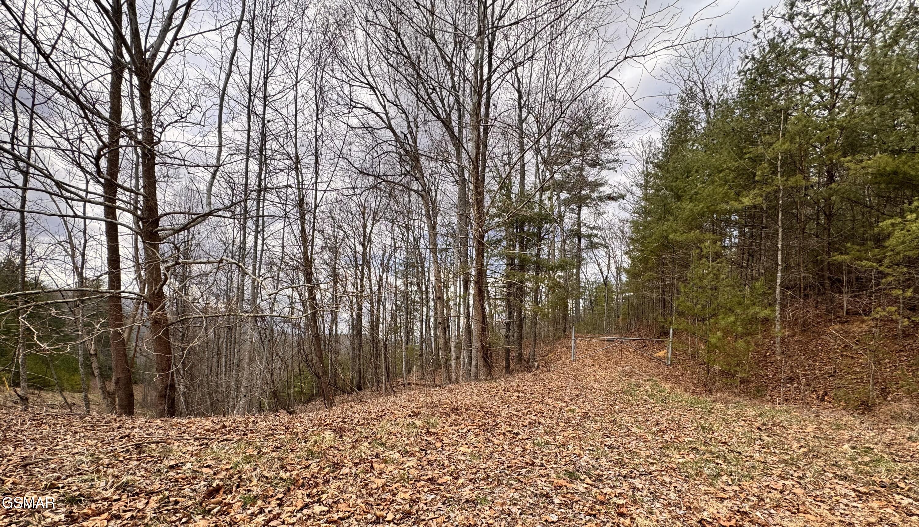 Lot 41 Black Maple Way Del Rio TN 37727