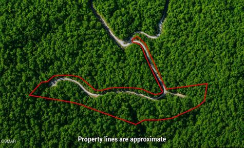 Lot 41 Black Maple Way Del Rio TN 37727