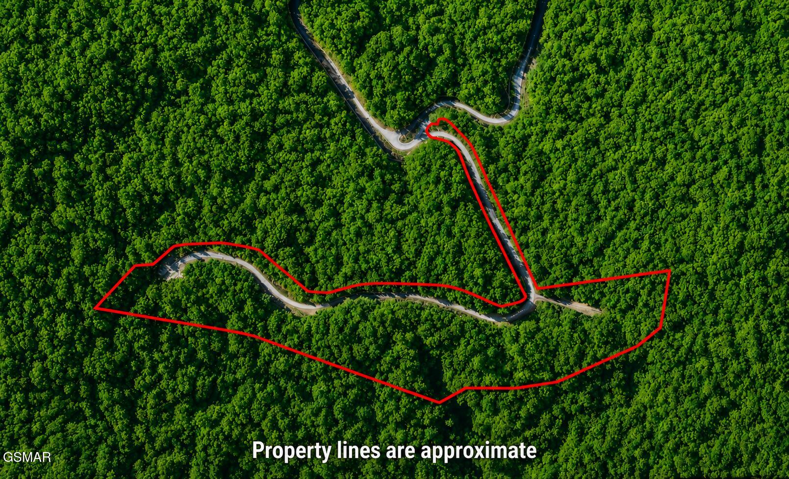 Lot 41 Black Maple Way Del Rio TN 37727