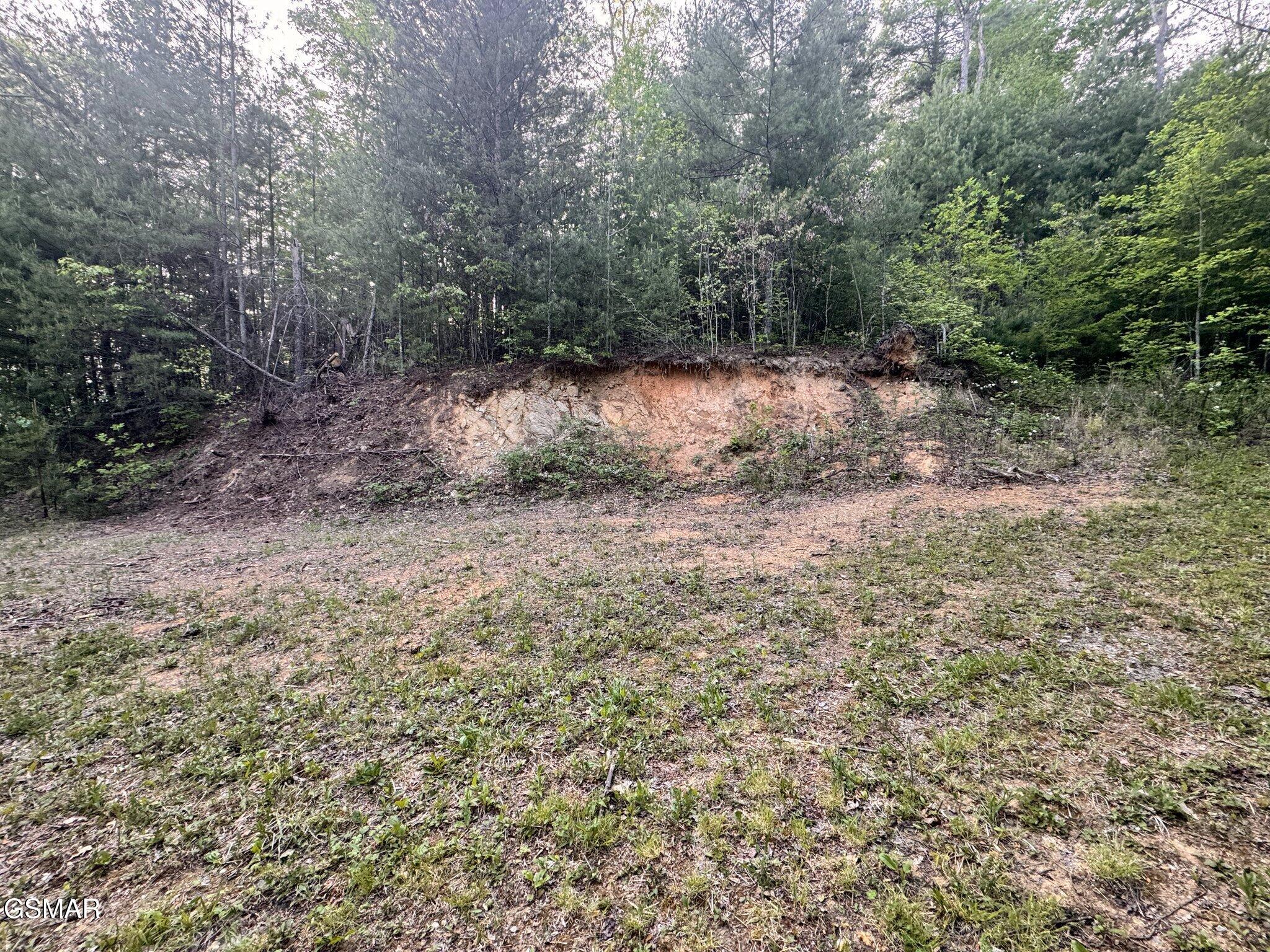Lot 41 Black Maple Way Del Rio TN 37727