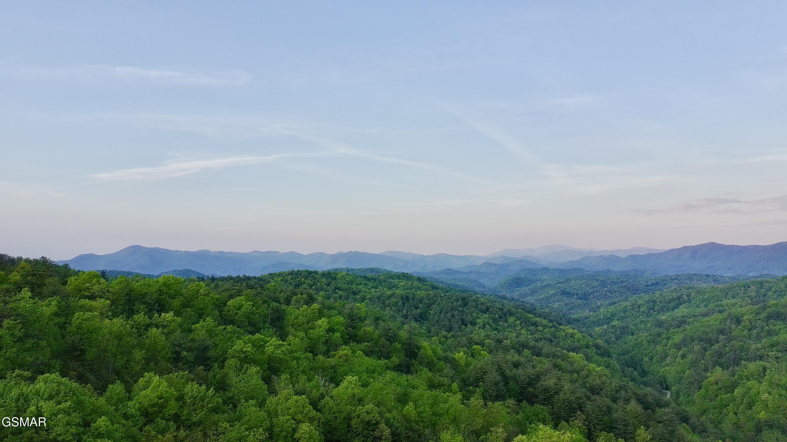 Lot 41 Black Maple Way Del Rio TN 37727