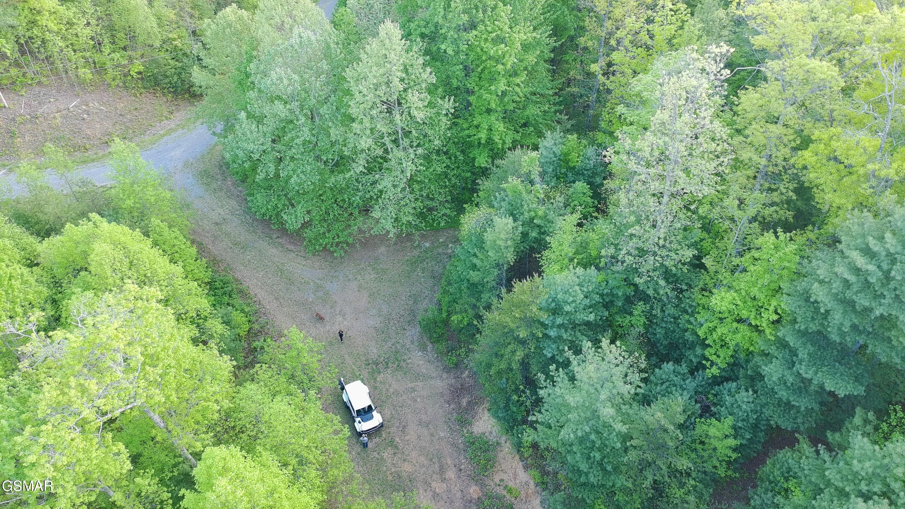 Lot 41 Black Maple Way Del Rio TN 37727