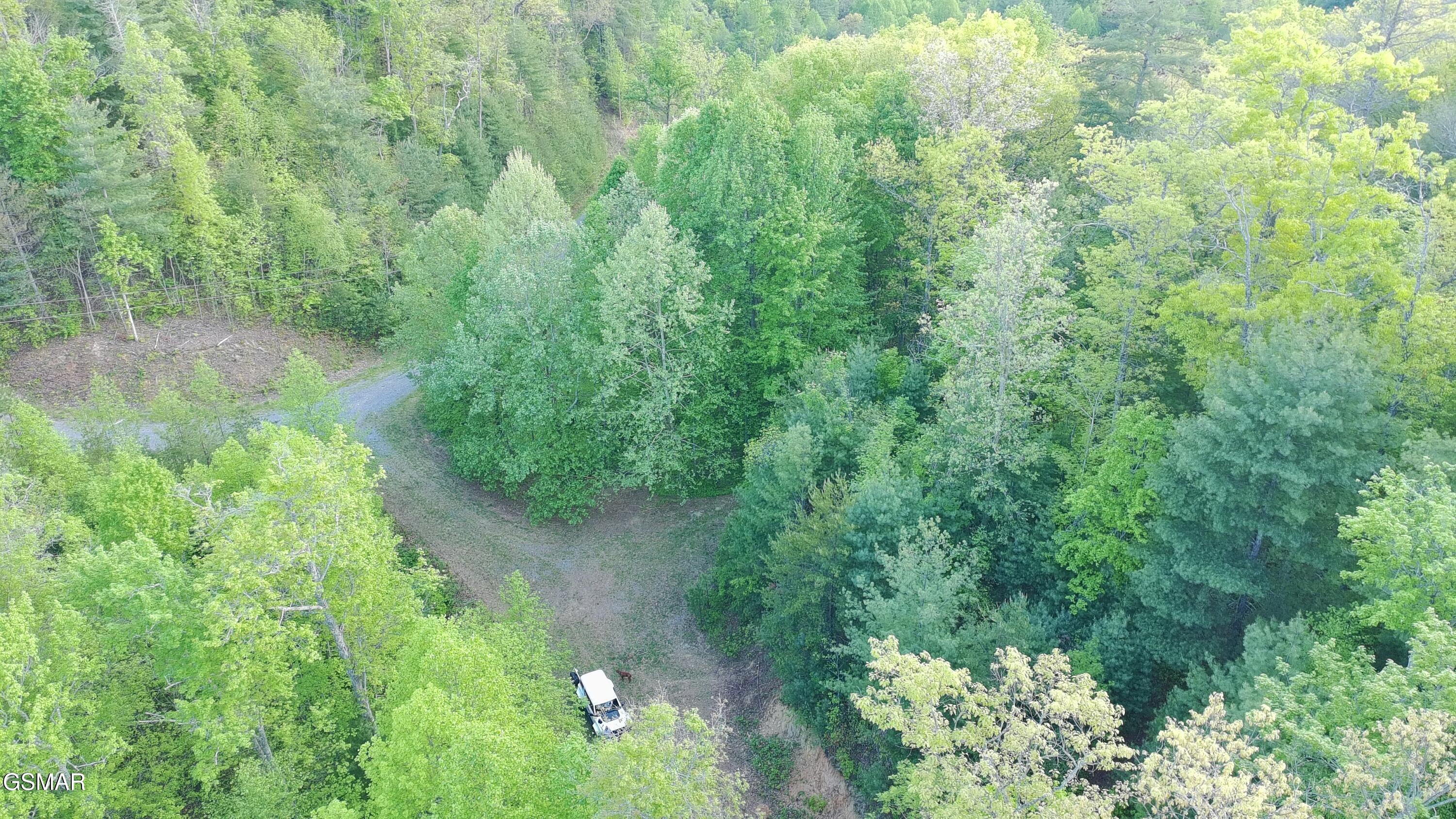 Lot 41 Black Maple Way Del Rio TN 37727