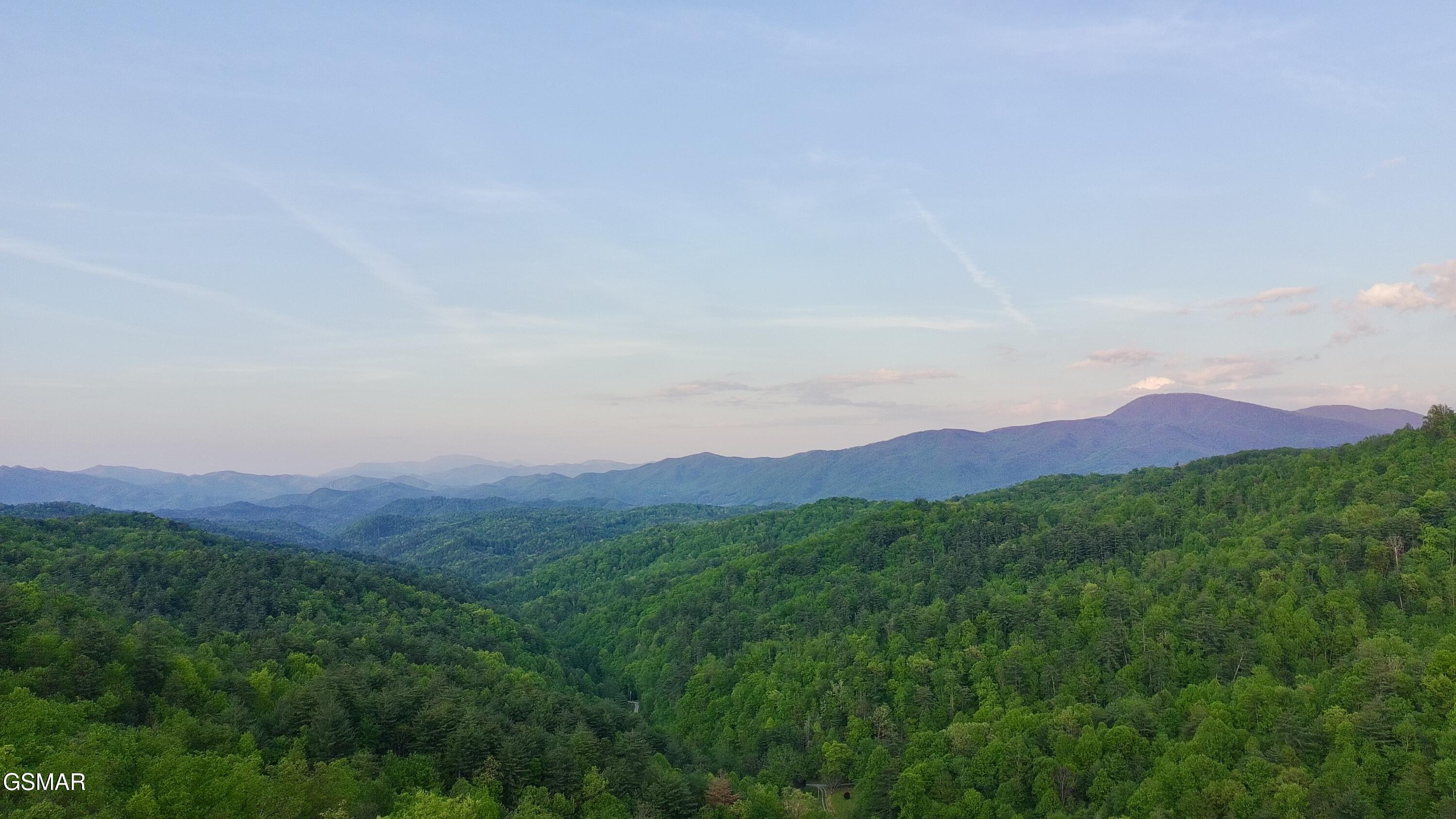 Lot 41 Black Maple Way Del Rio TN 37727