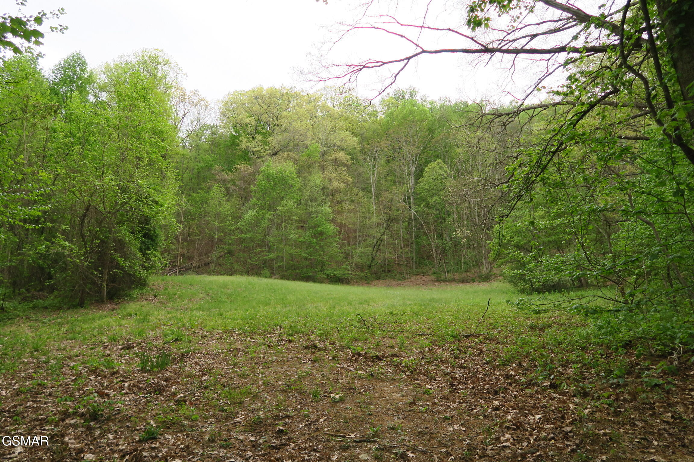 250 Mountain Side Lane Rocky Top TN 37769