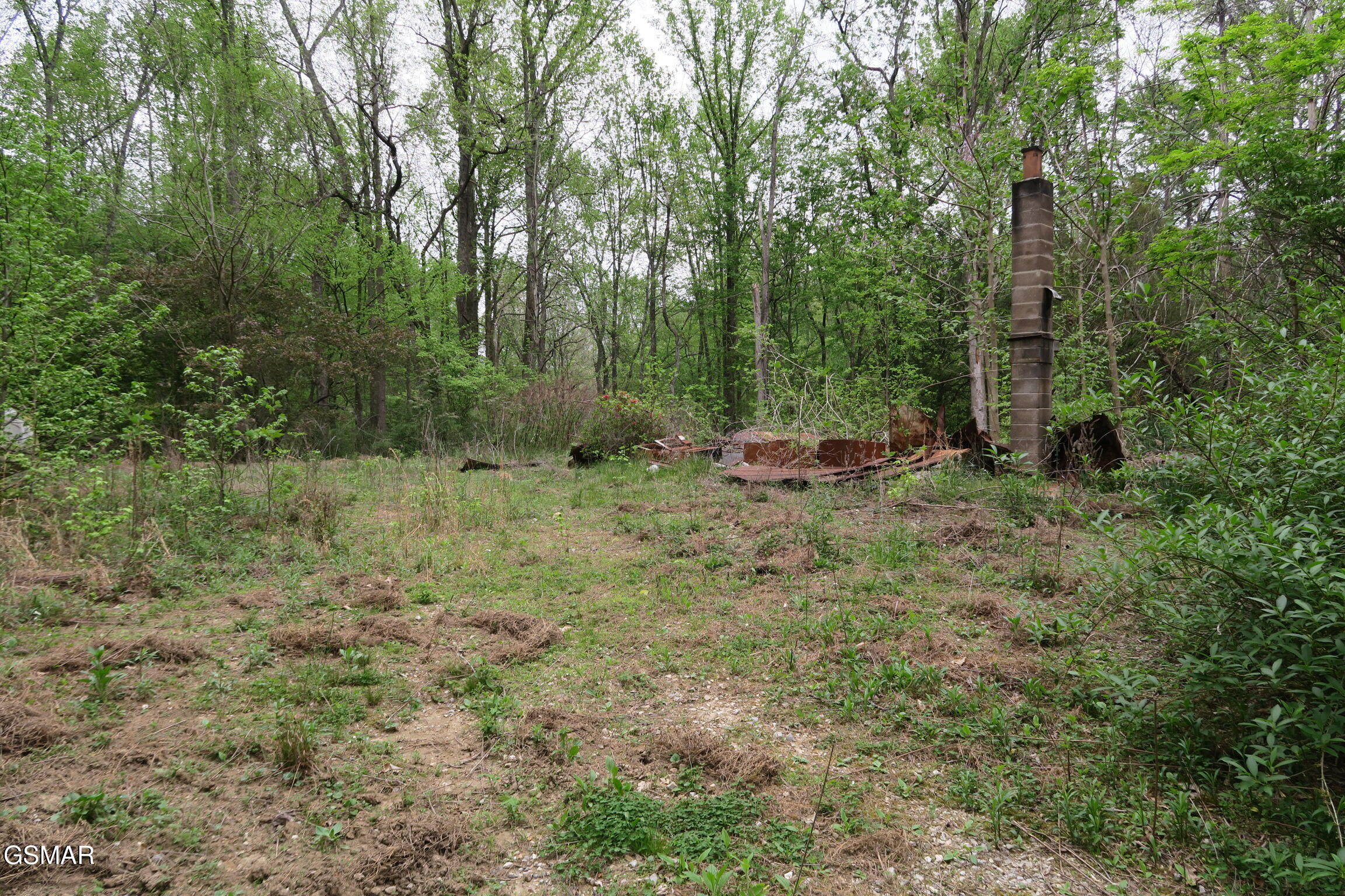 250 Mountain Side Lane Rocky Top TN 37769