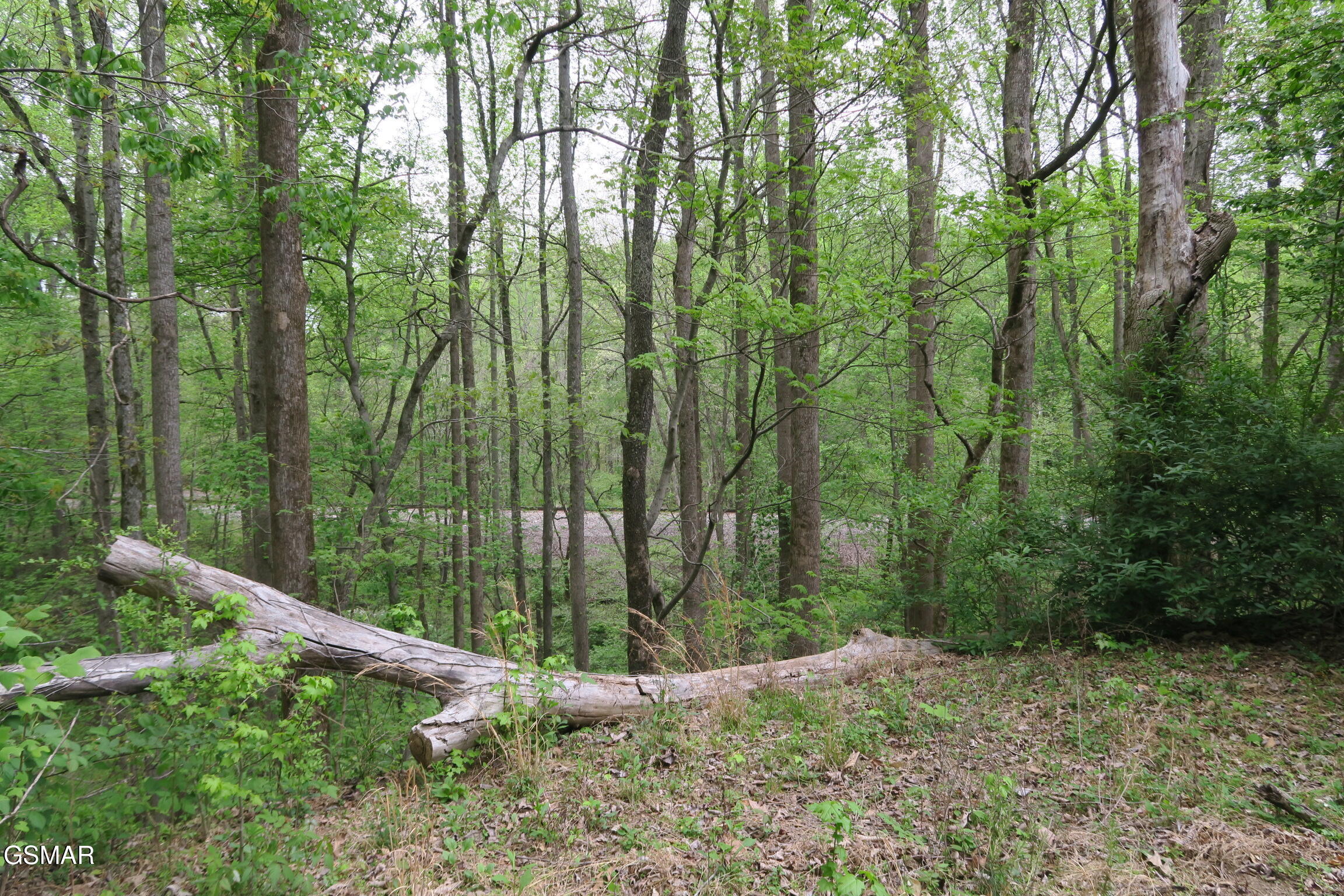 250 Mountain Side Lane Rocky Top TN 37769