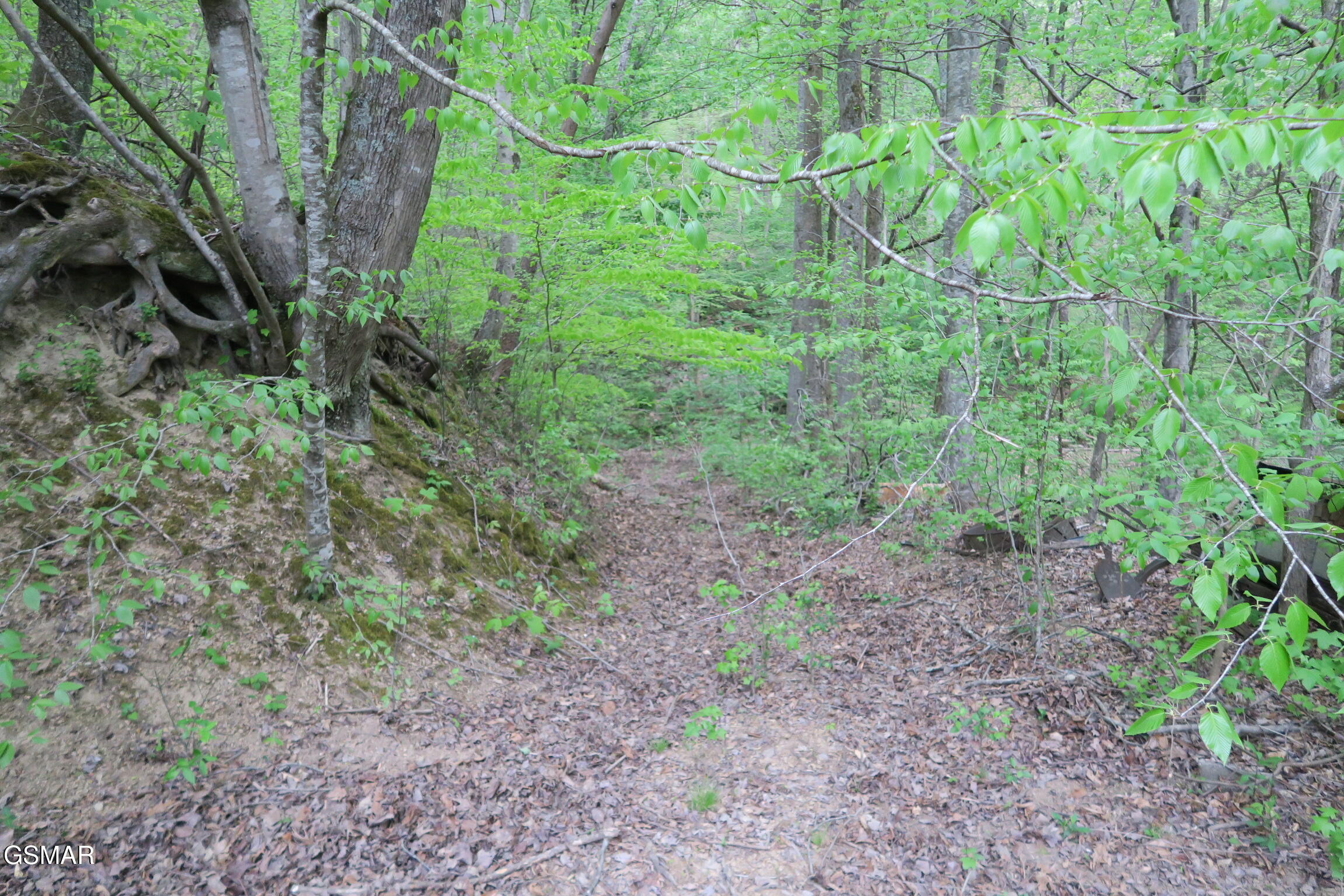 250 Mountain Side Lane Rocky Top TN 37769