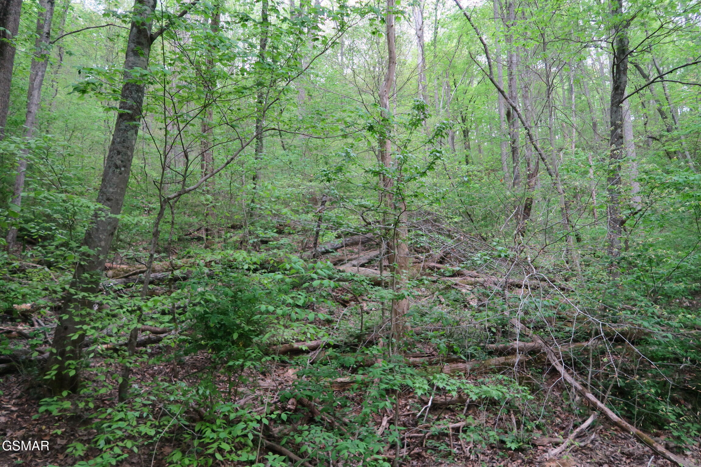 250 Mountain Side Lane Rocky Top TN 37769