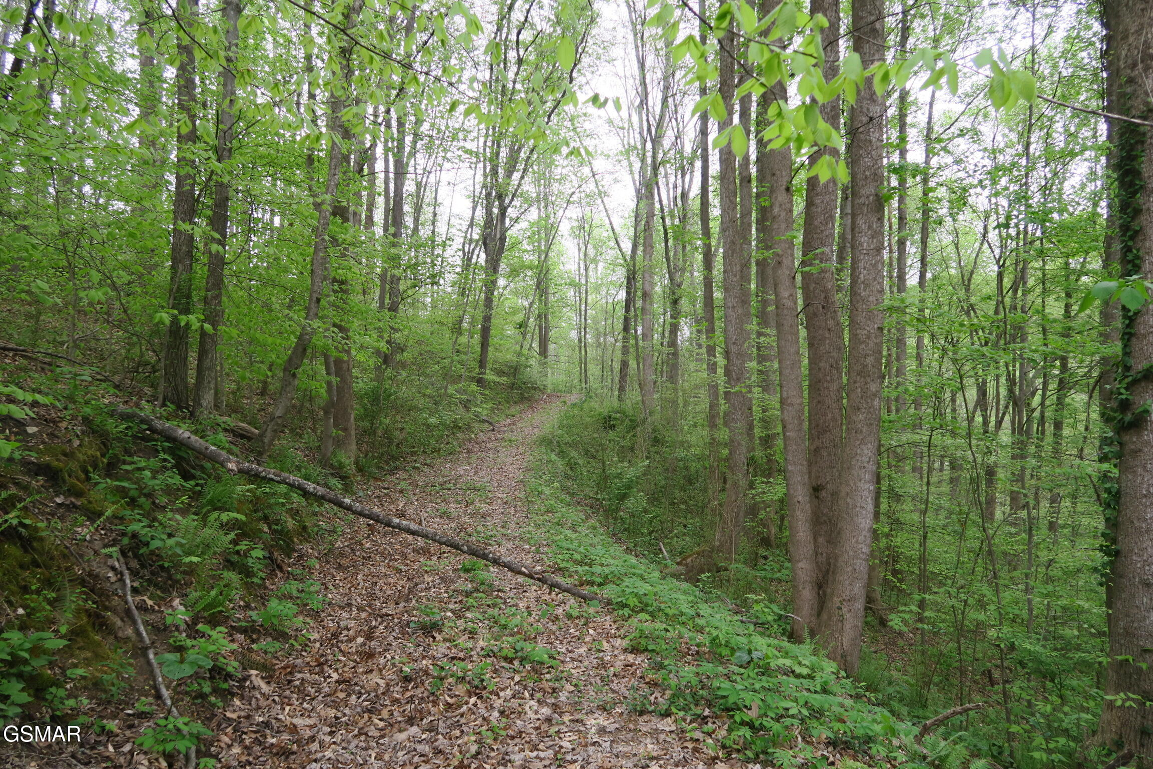 250 Mountain Side Lane Rocky Top TN 37769