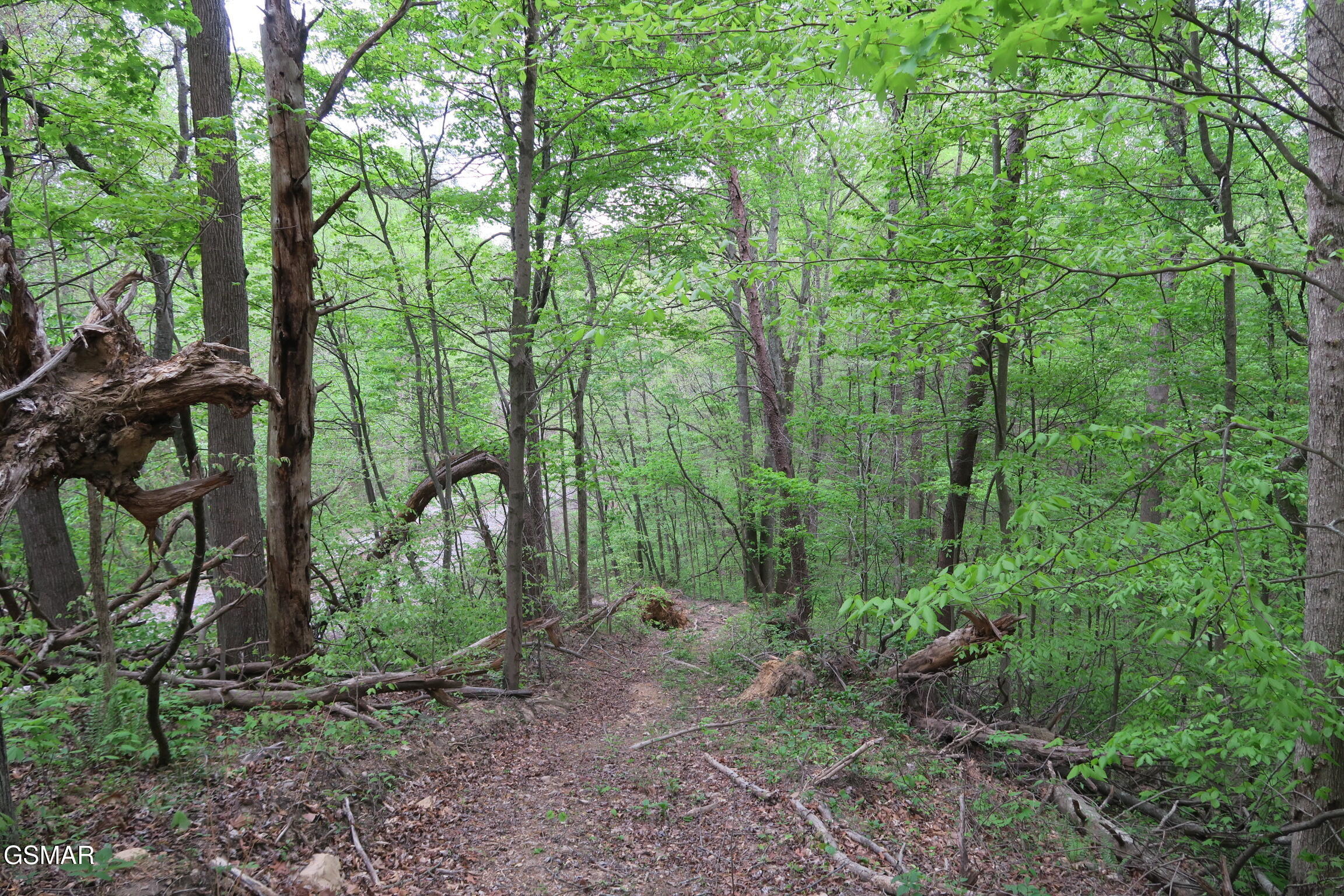 250 Mountain Side Lane Rocky Top TN 37769
