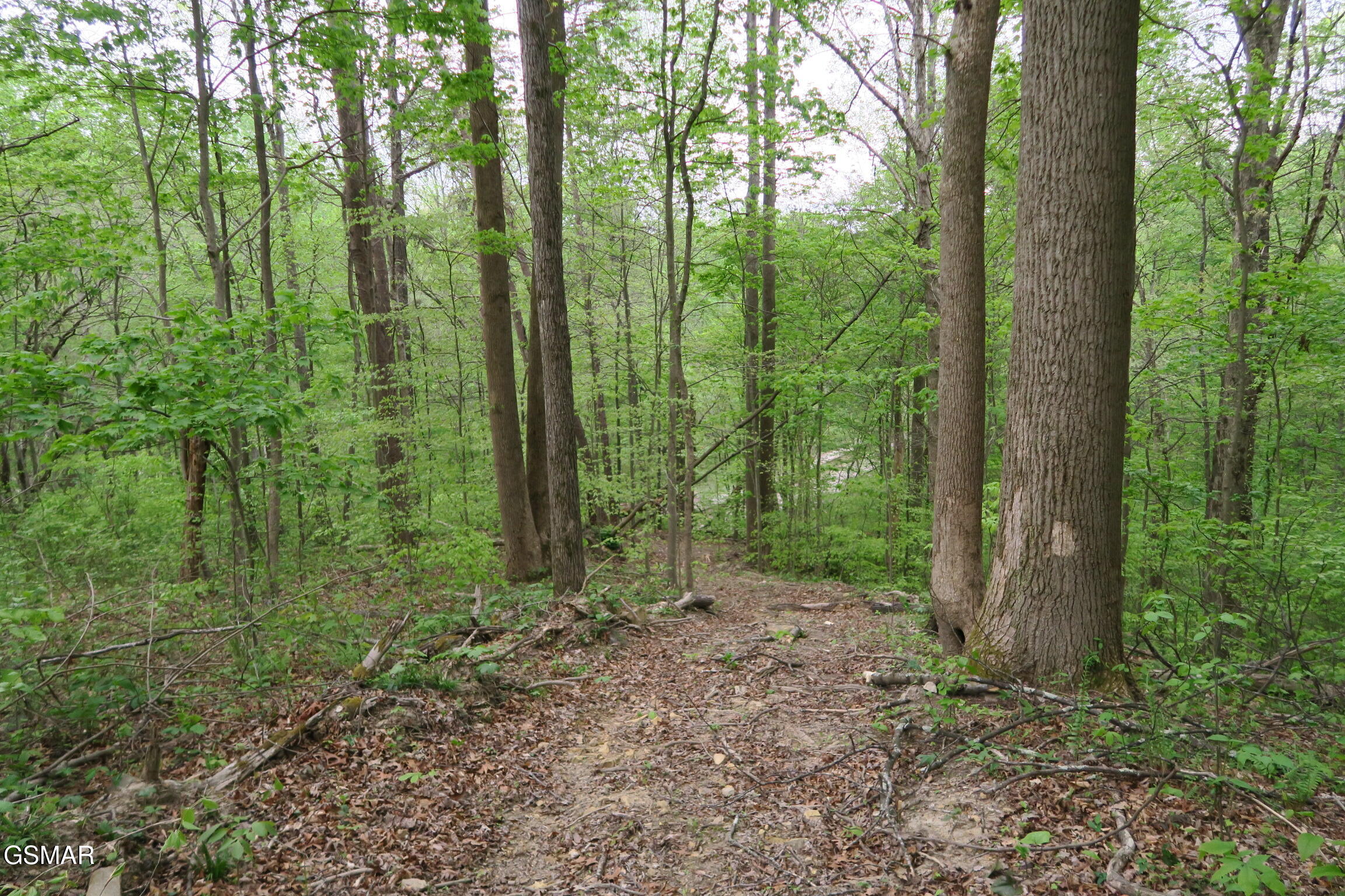 250 Mountain Side Lane Rocky Top TN 37769