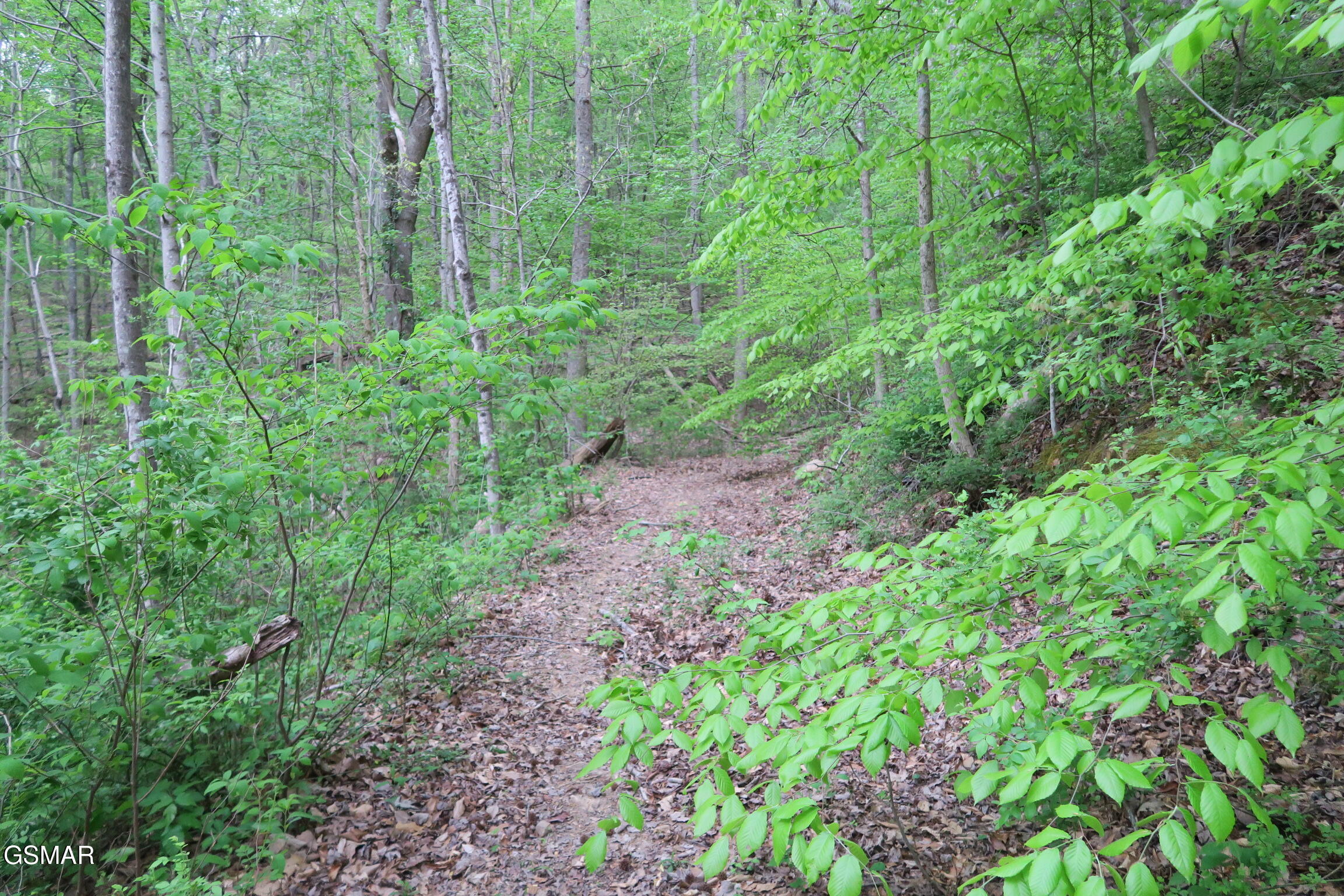 250 Mountain Side Lane Rocky Top TN 37769