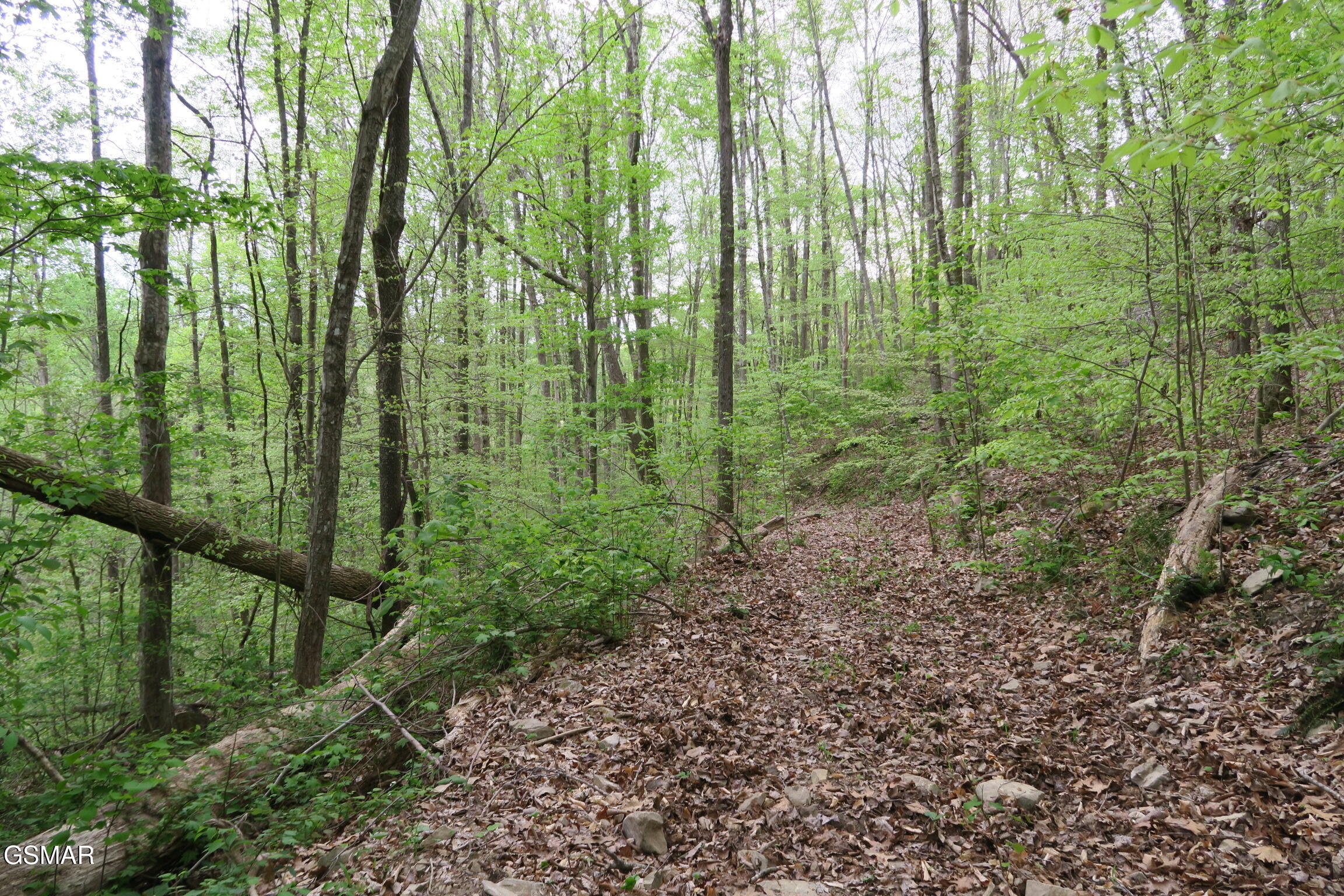 250 Mountain Side Lane Rocky Top TN 37769