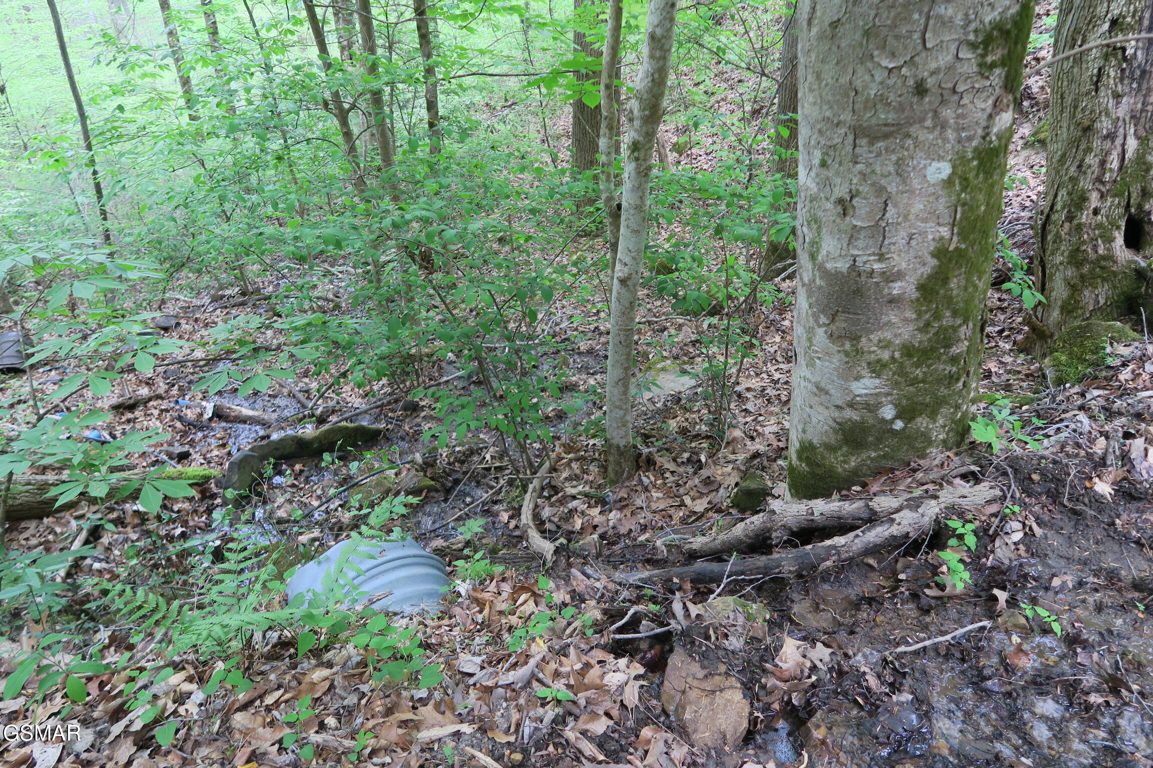 250 Mountain Side Lane Rocky Top TN 37769