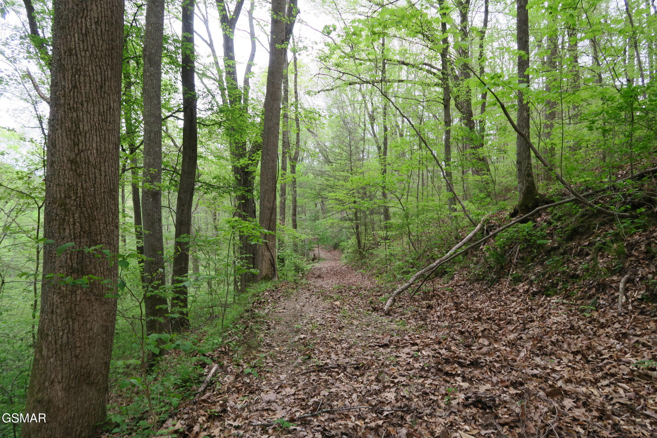 250 Mountain Side Lane Rocky Top TN 37769