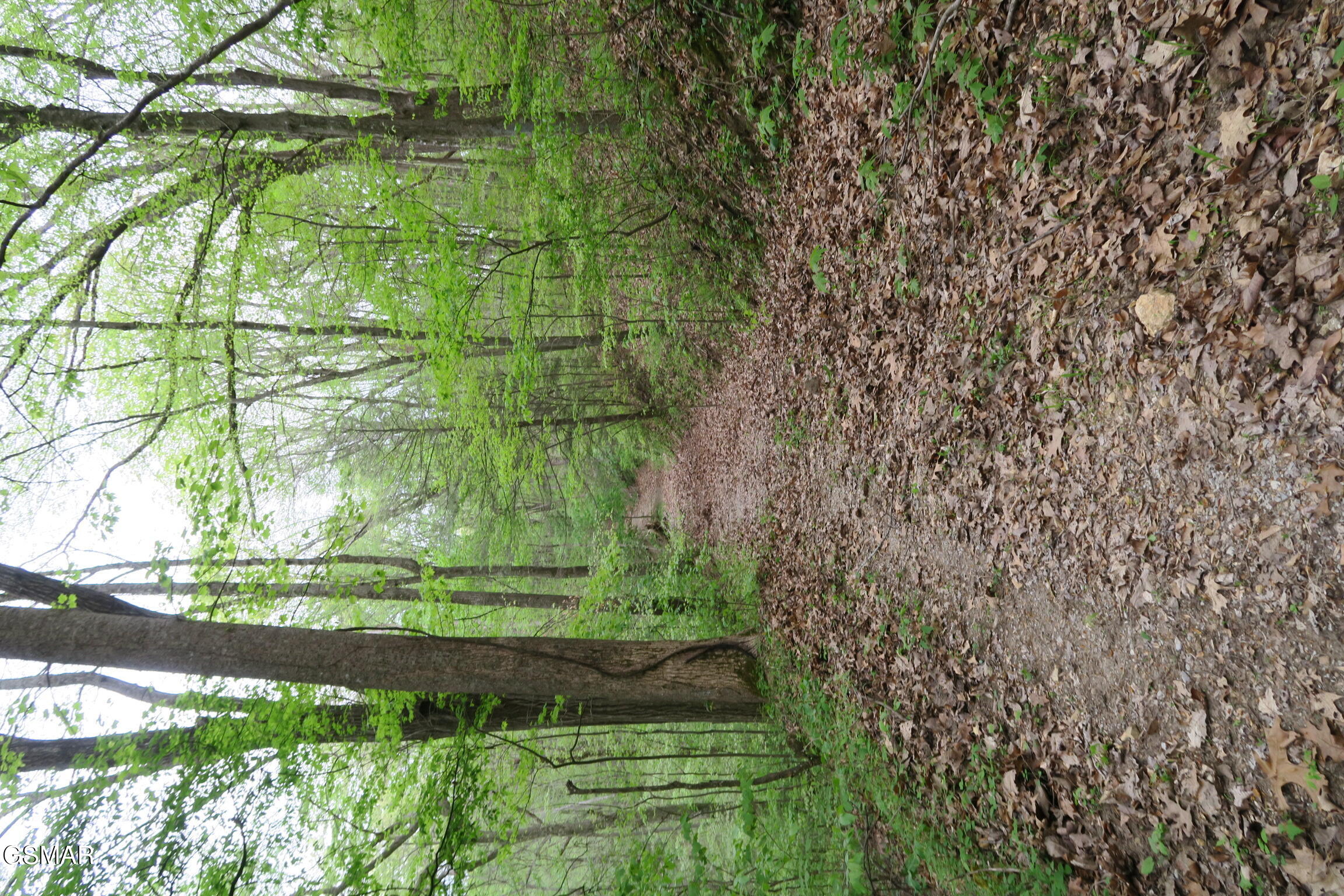 250 Mountain Side Lane Rocky Top TN 37769