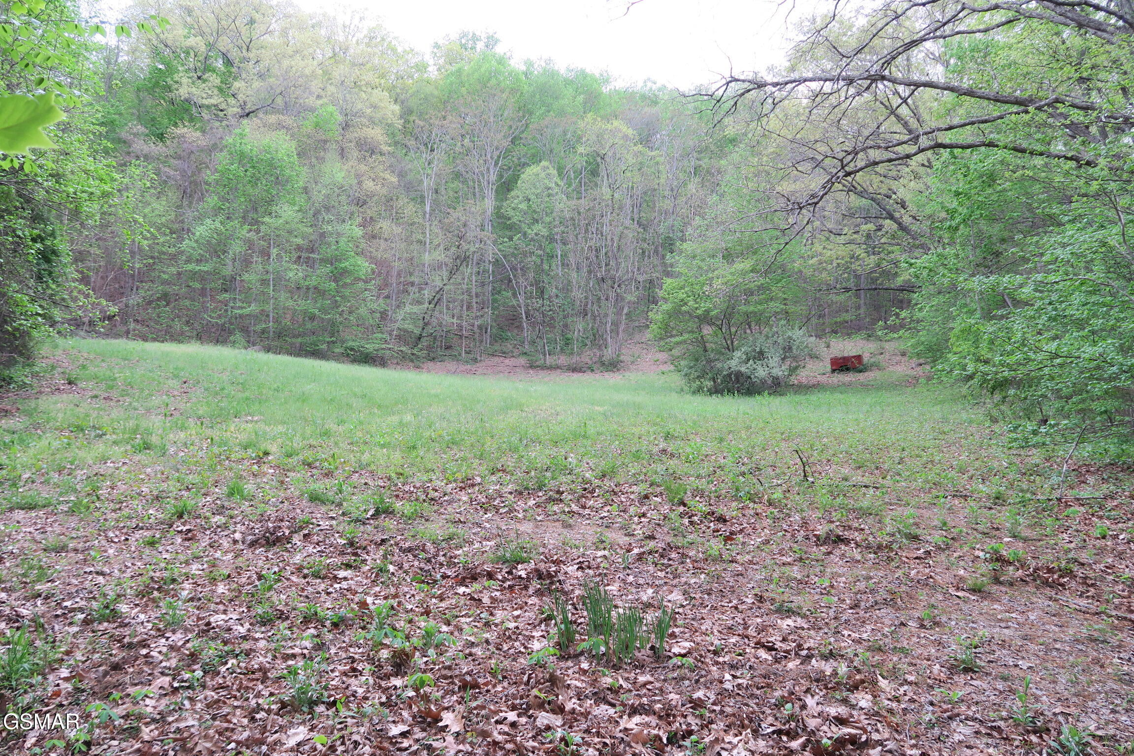 250 Mountain Side Lane Rocky Top TN 37769