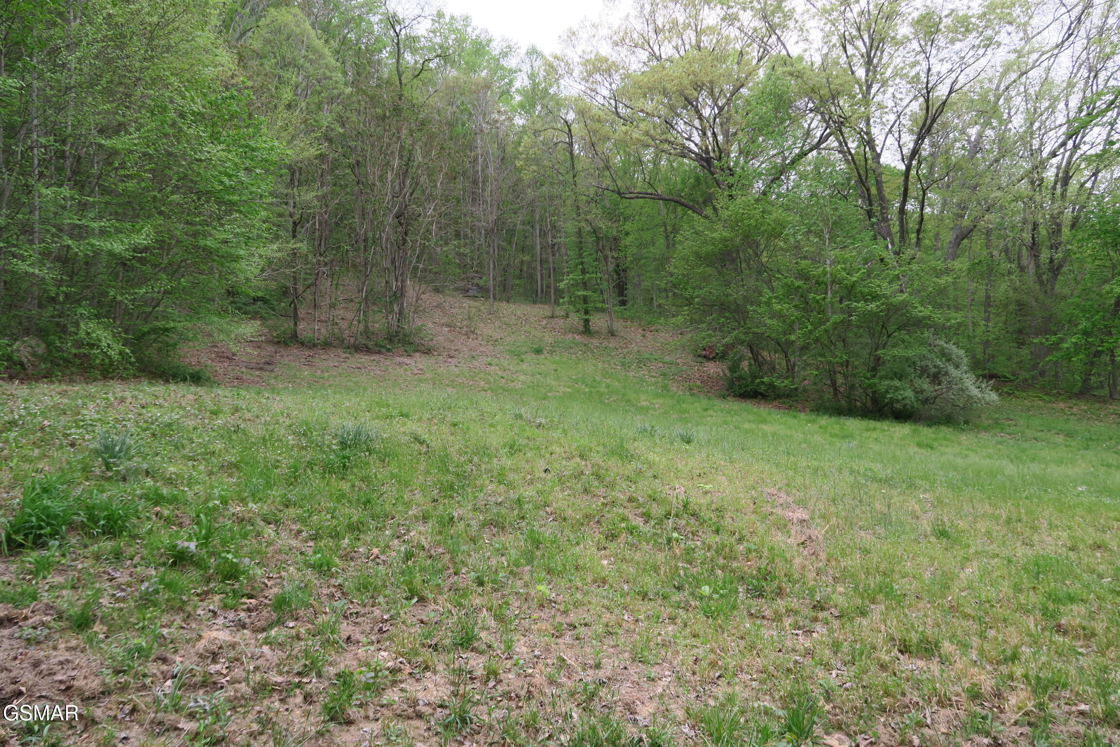250 Mountain Side Lane Rocky Top TN 37769