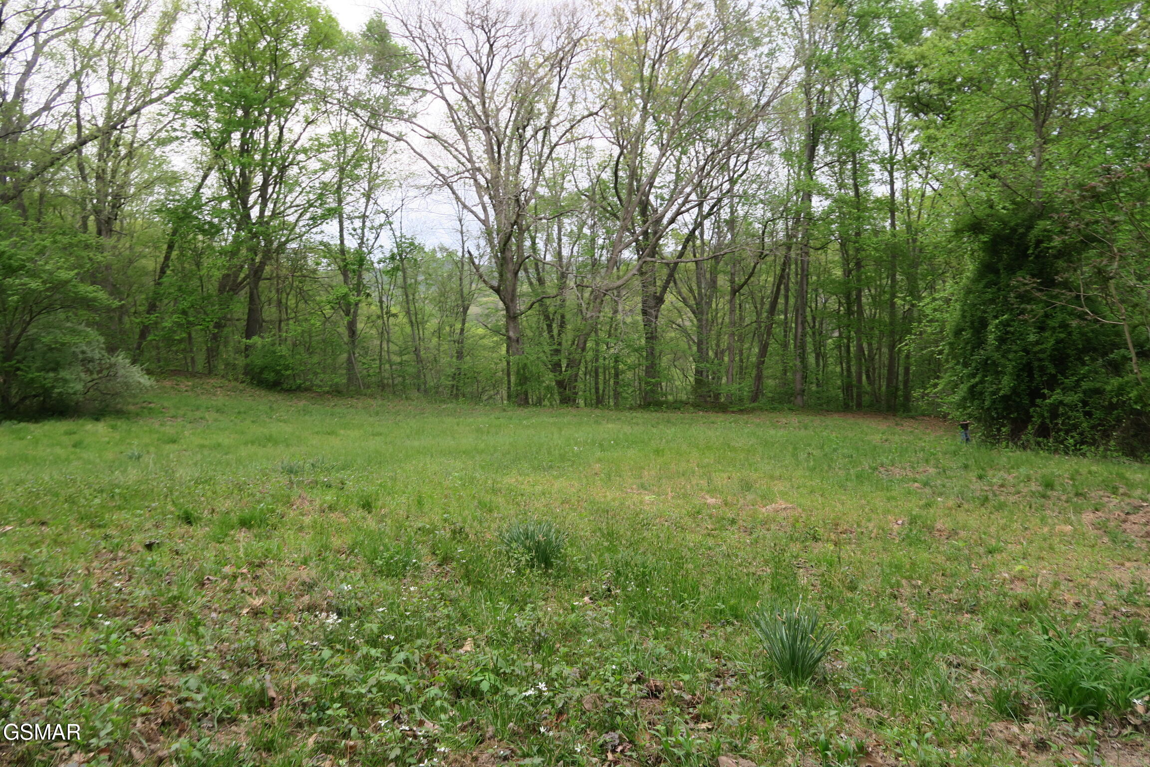 250 Mountain Side Lane Rocky Top TN 37769