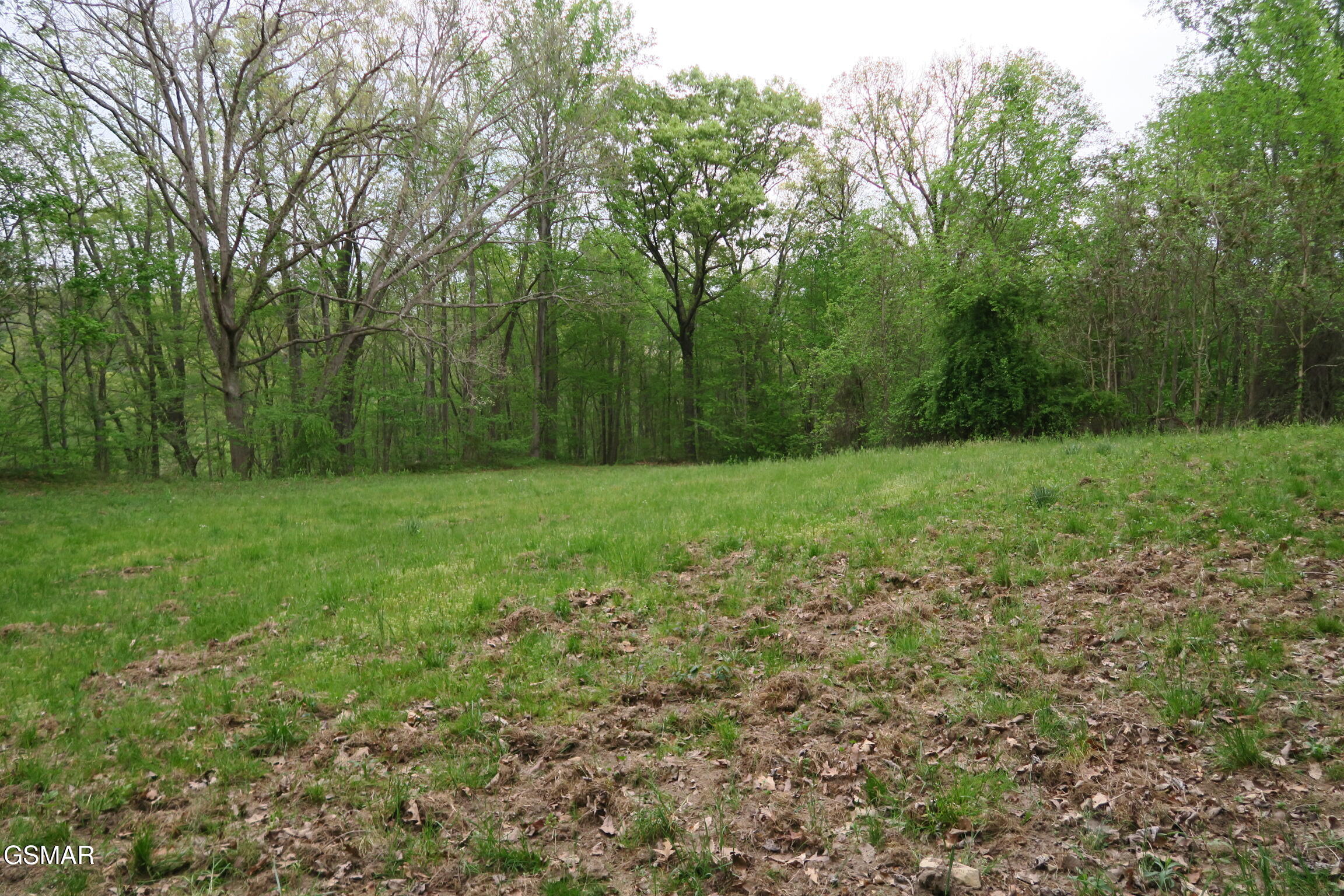 250 Mountain Side Lane Rocky Top TN 37769