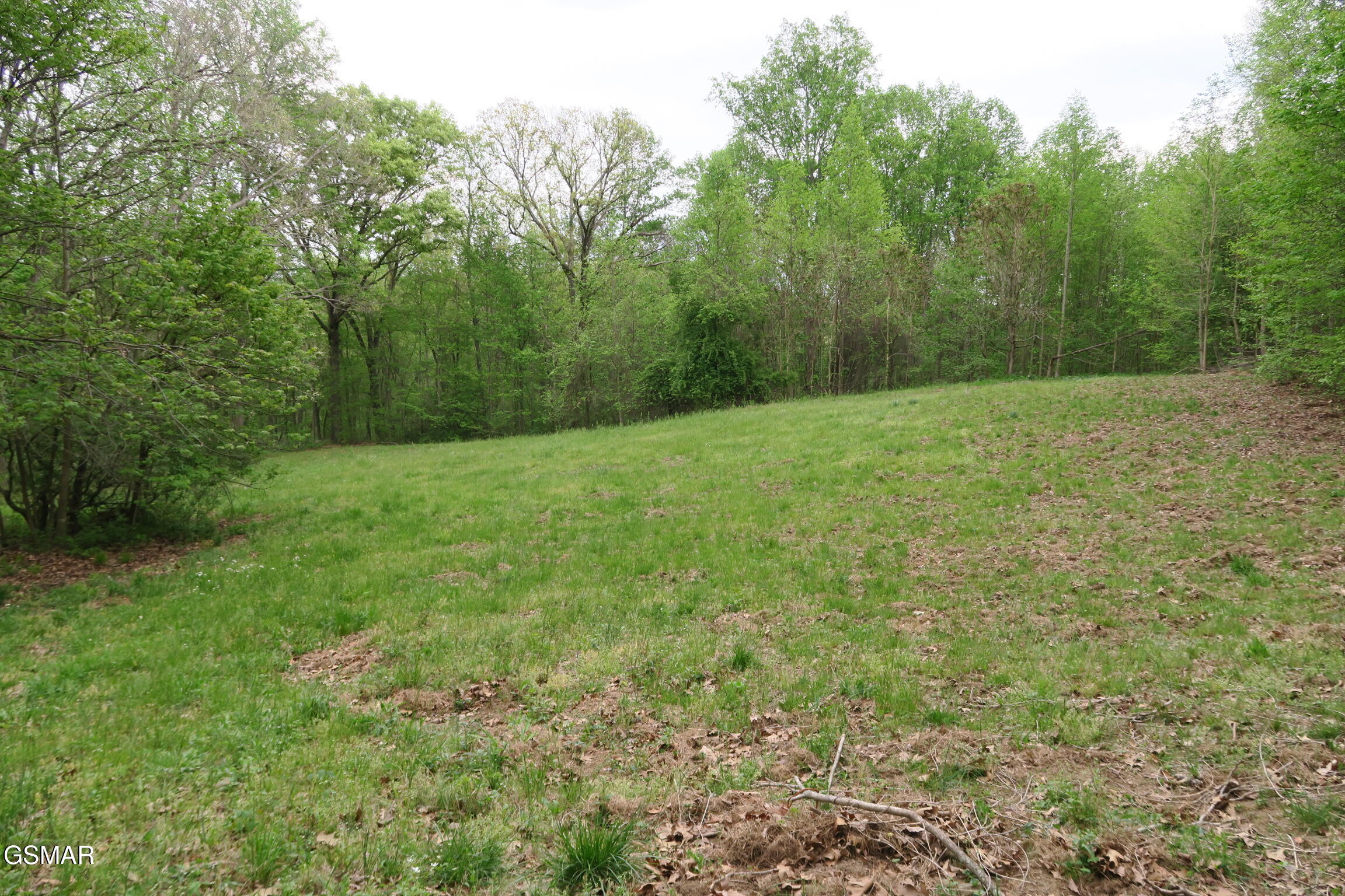 250 Mountain Side Lane Rocky Top TN 37769