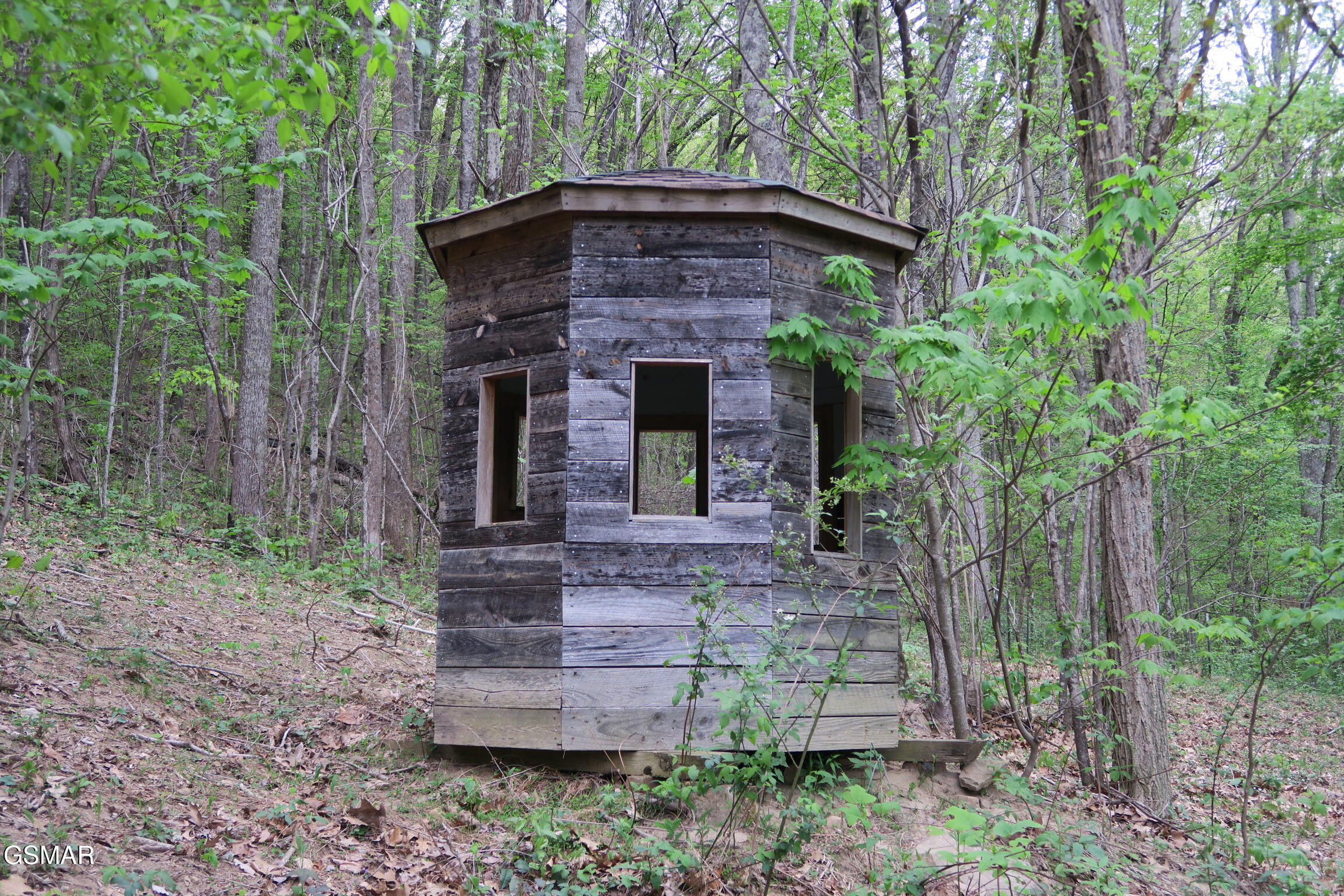 250 Mountain Side Lane Rocky Top TN 37769