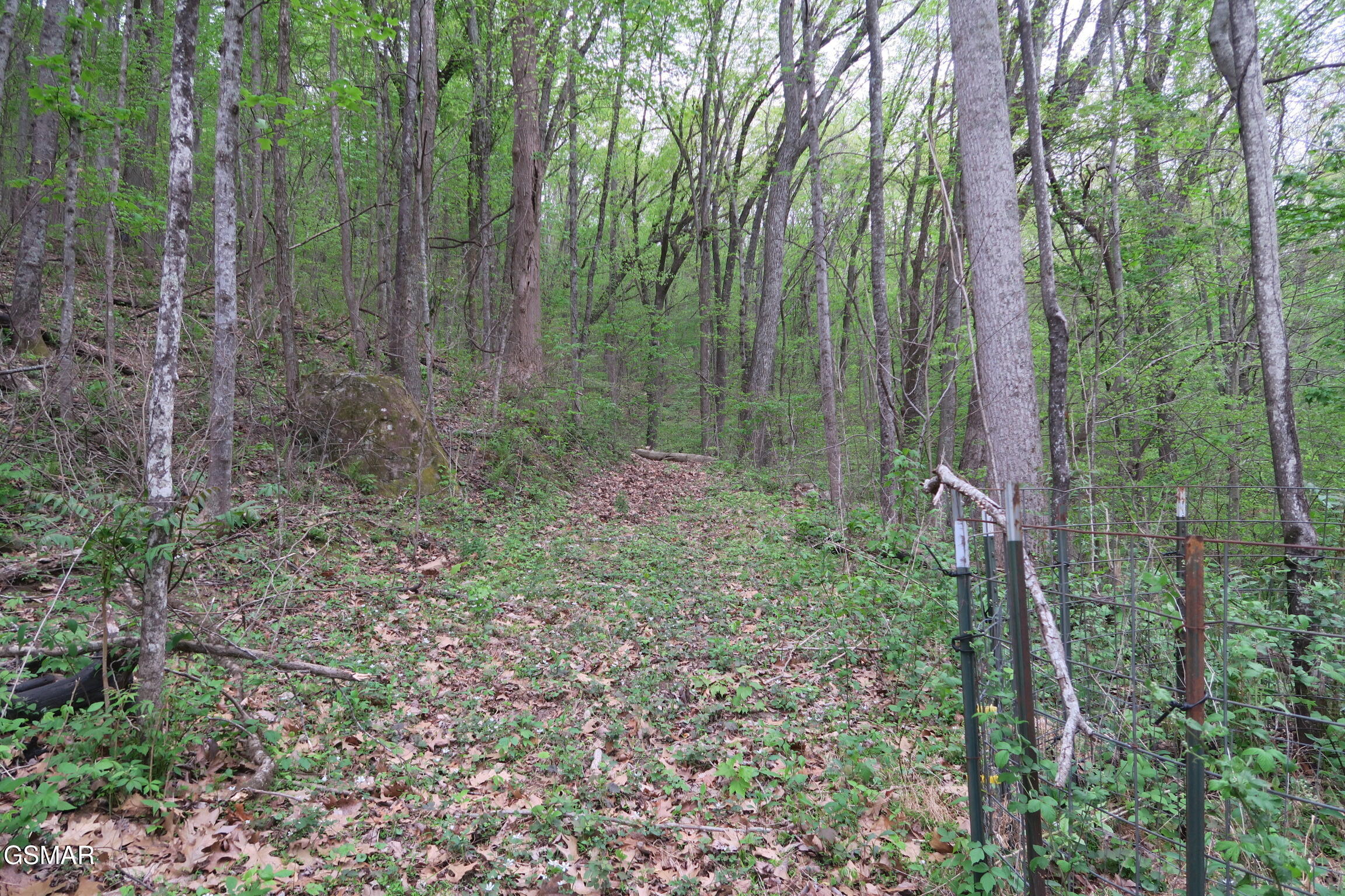 250 Mountain Side Lane Rocky Top TN 37769