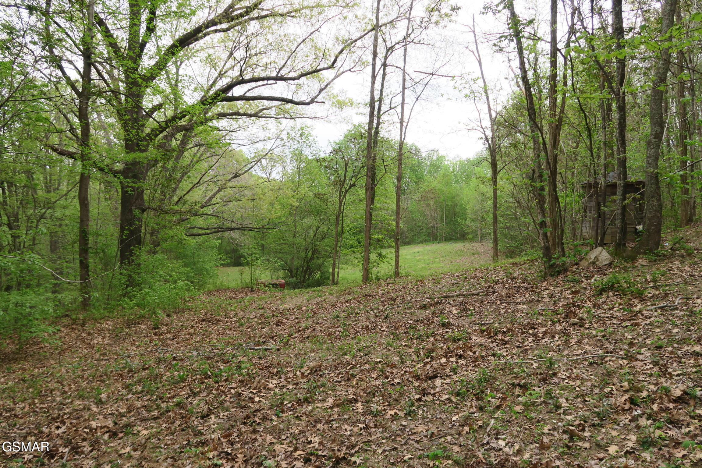 250 Mountain Side Lane Rocky Top TN 37769