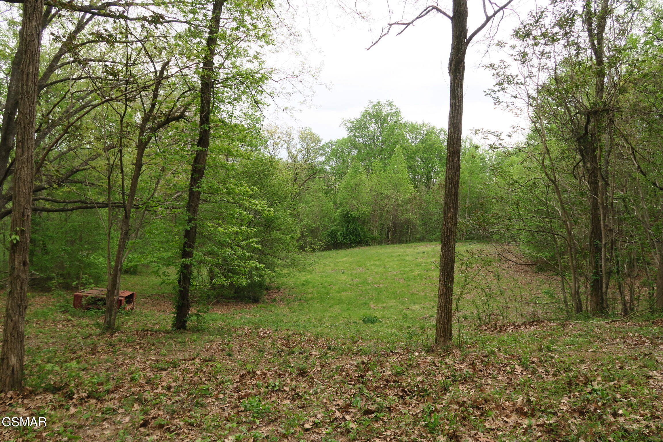 250 Mountain Side Lane Rocky Top TN 37769