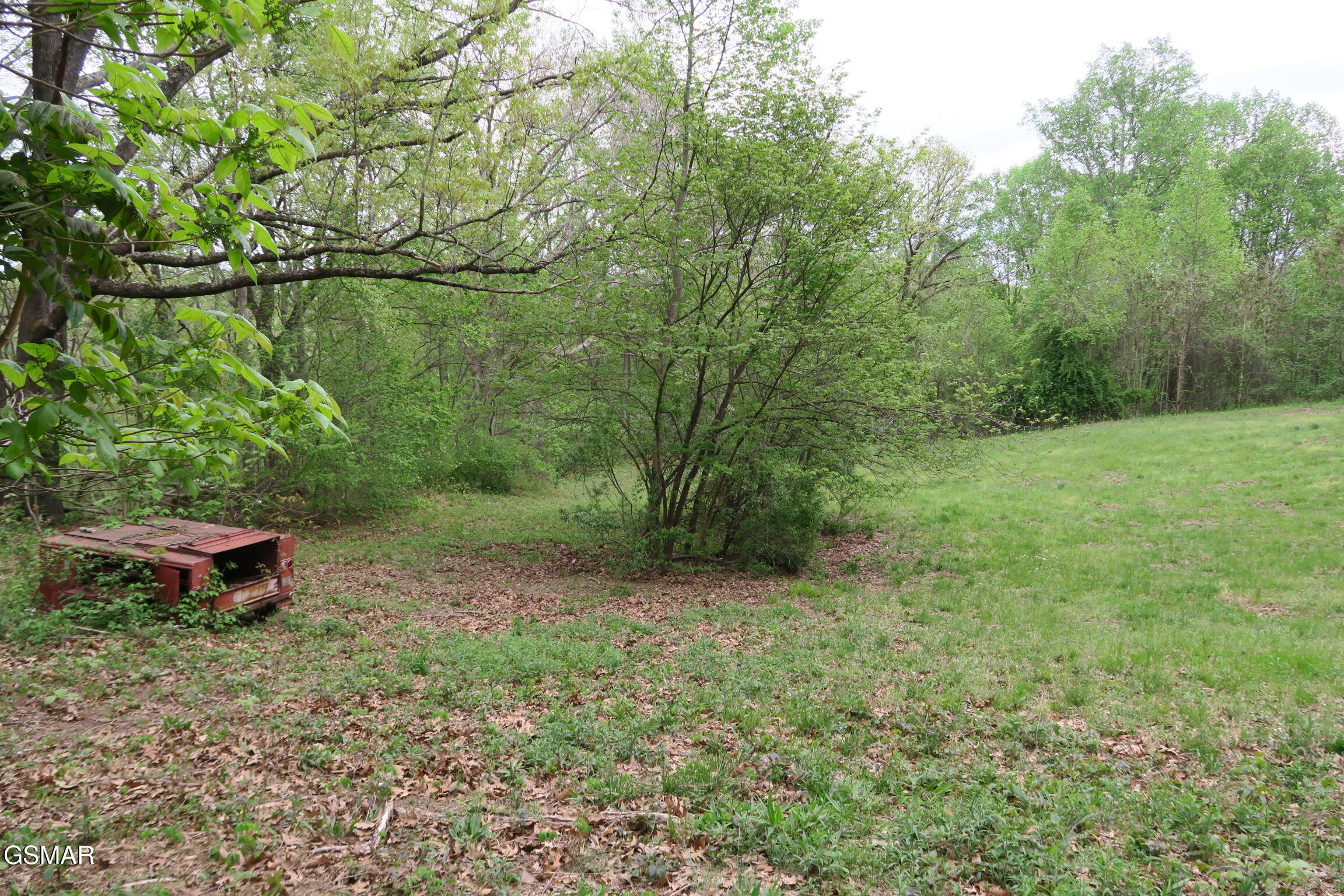 250 Mountain Side Lane Rocky Top TN 37769