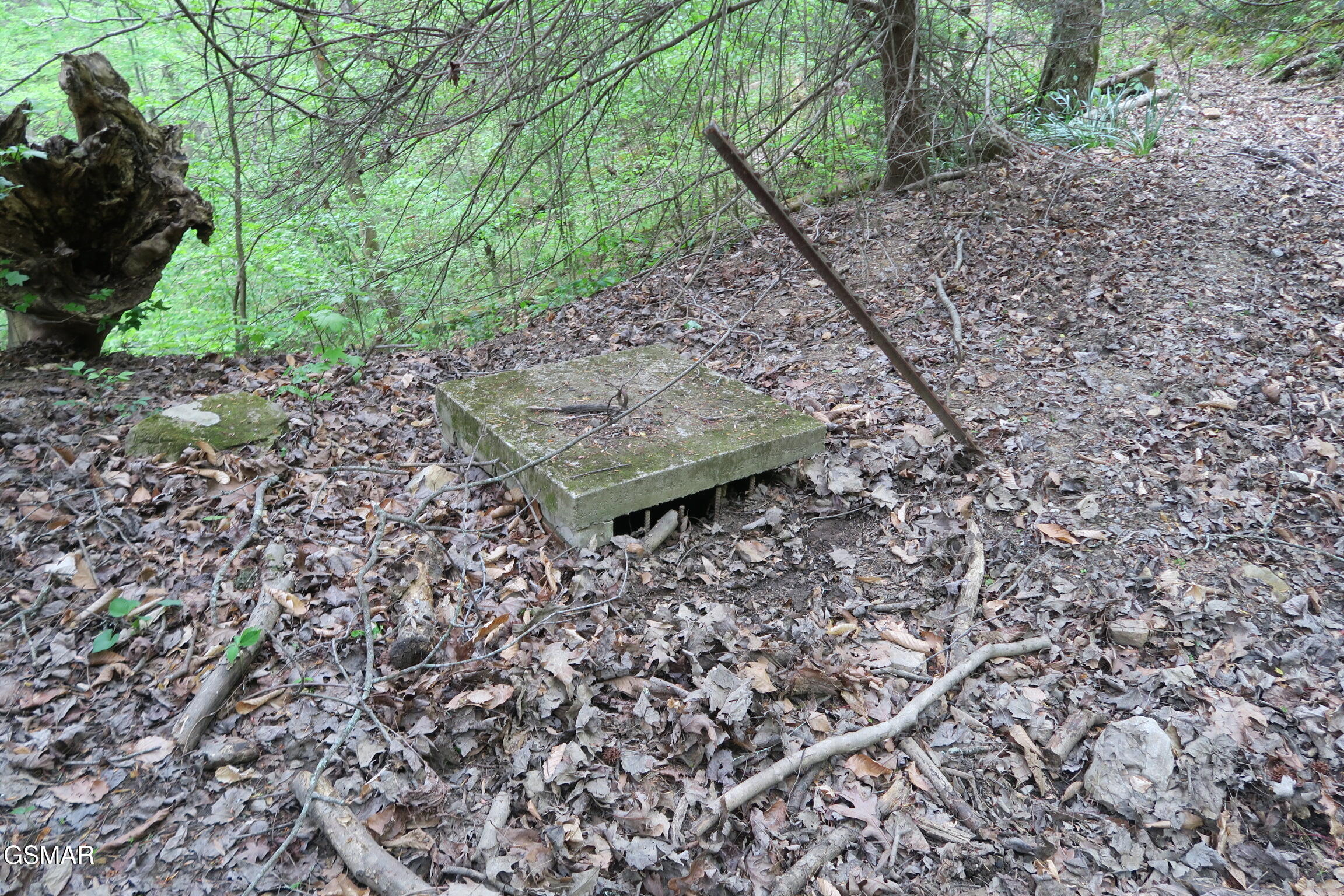 250 Mountain Side Lane Rocky Top TN 37769