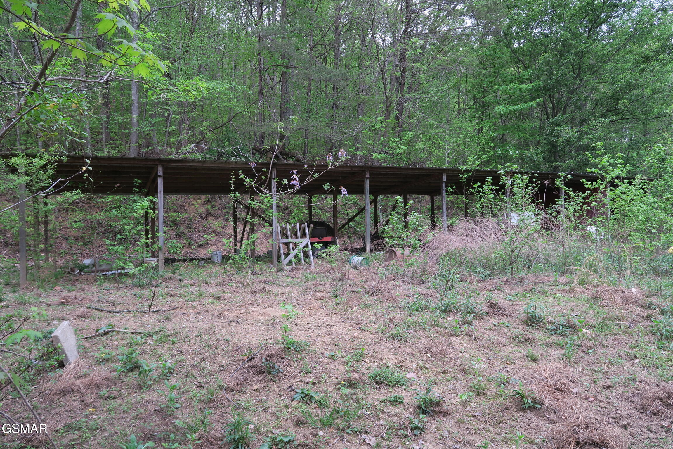 250 Mountain Side Lane Rocky Top TN 37769