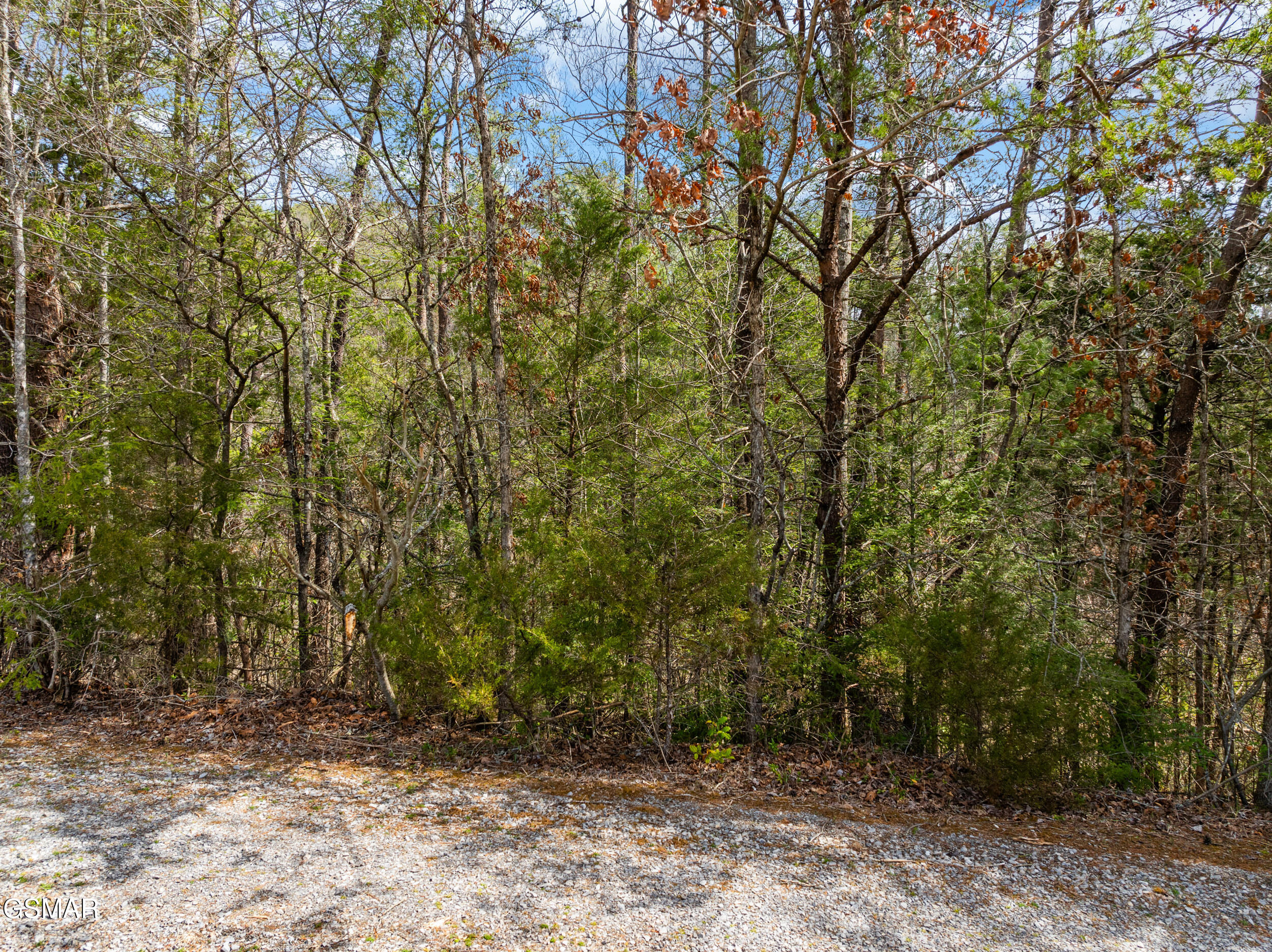 TR1-4 Mossy Cove Way Sevierville TN 37876