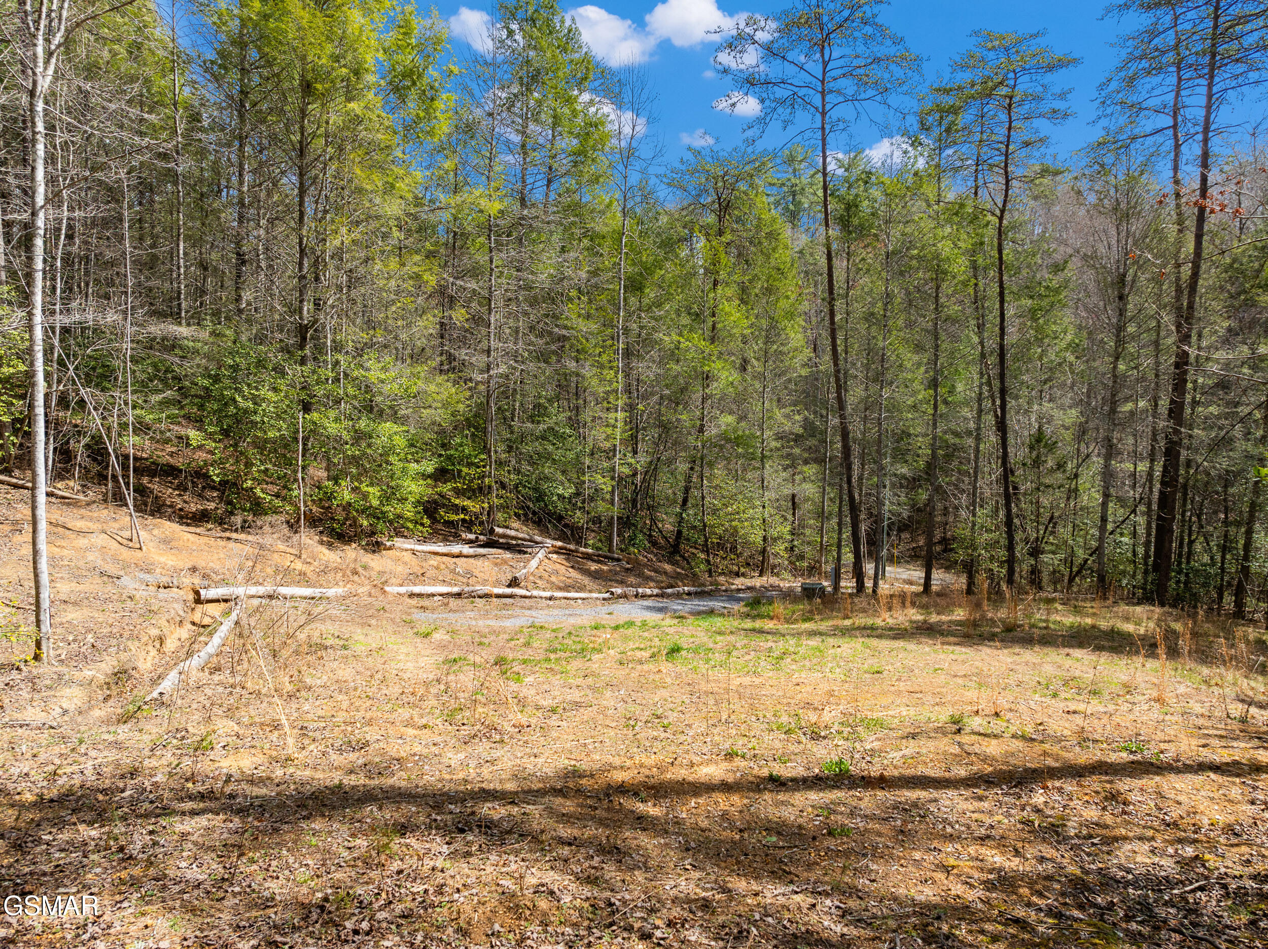 TR1-4 Mossy Cove Way Sevierville TN 37876