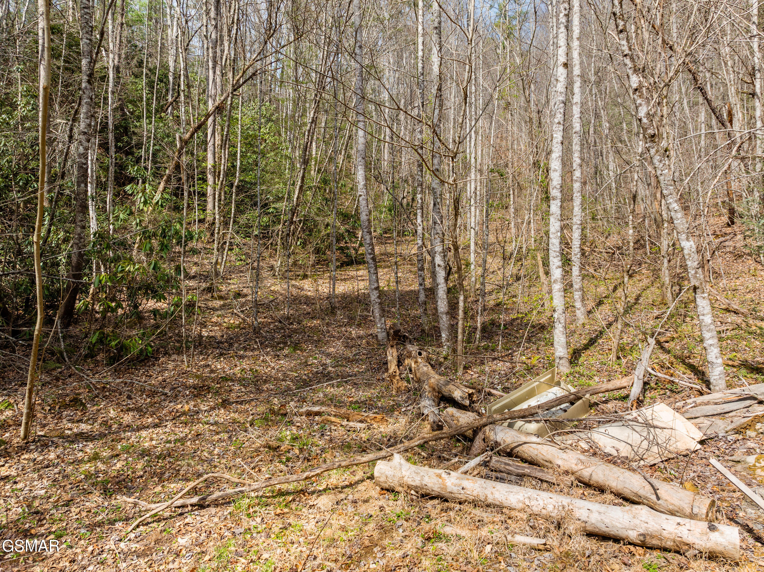 TR1-4 Mossy Cove Way Sevierville TN 37876