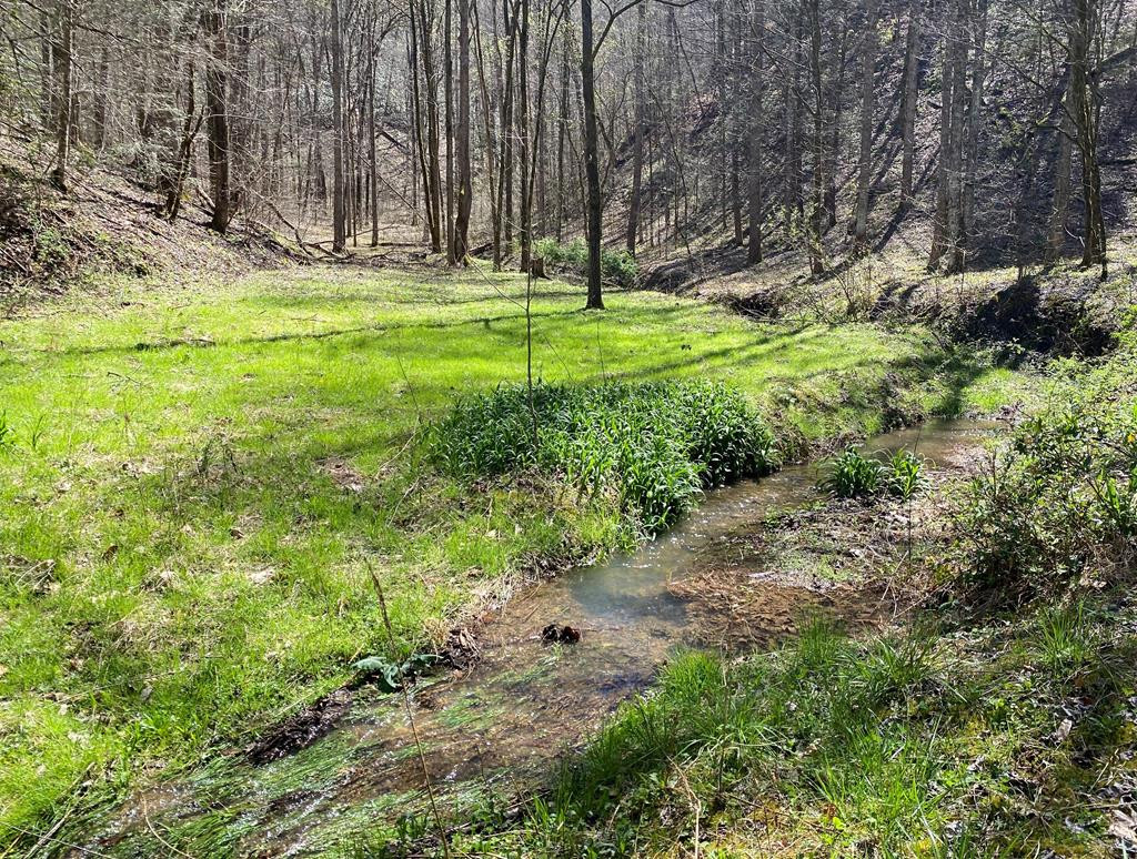 0 Valley Springs Way Sevierville TN 37862