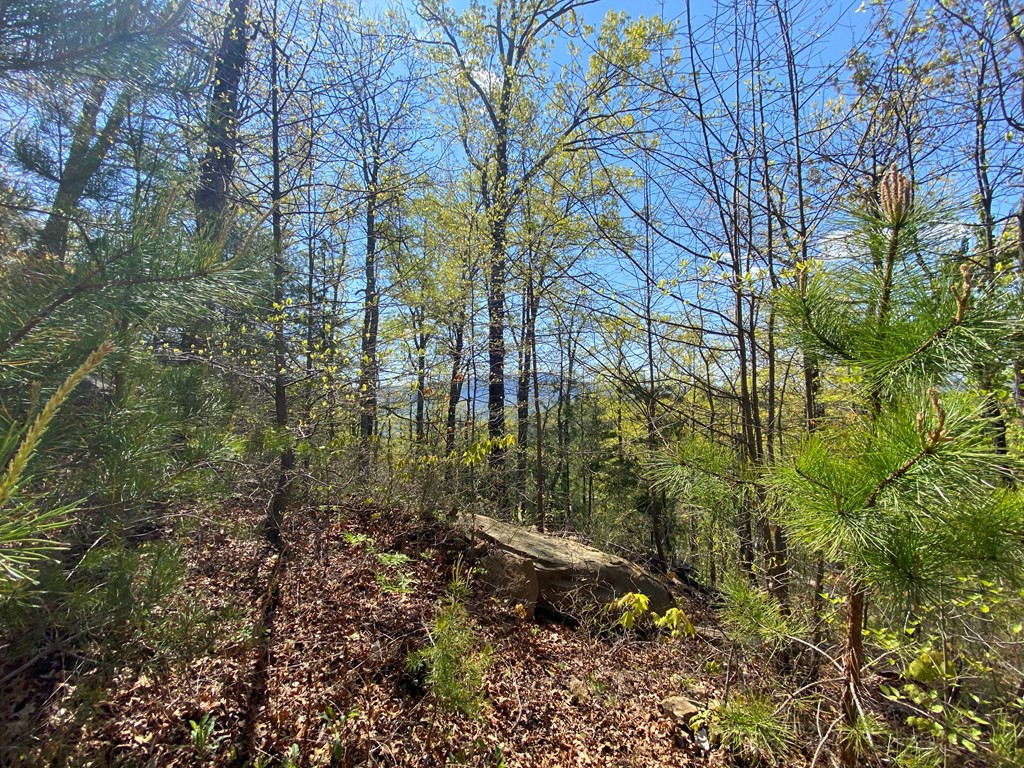0 Valley Springs Way Sevierville TN 37862