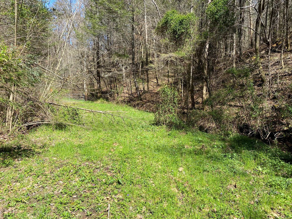 0 Valley Springs Way Sevierville TN 37862