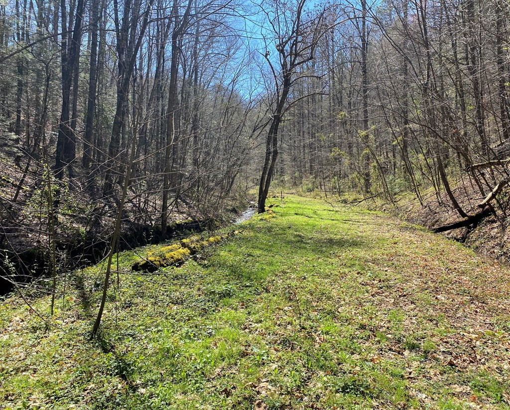 0 Valley Springs Way Sevierville TN 37862