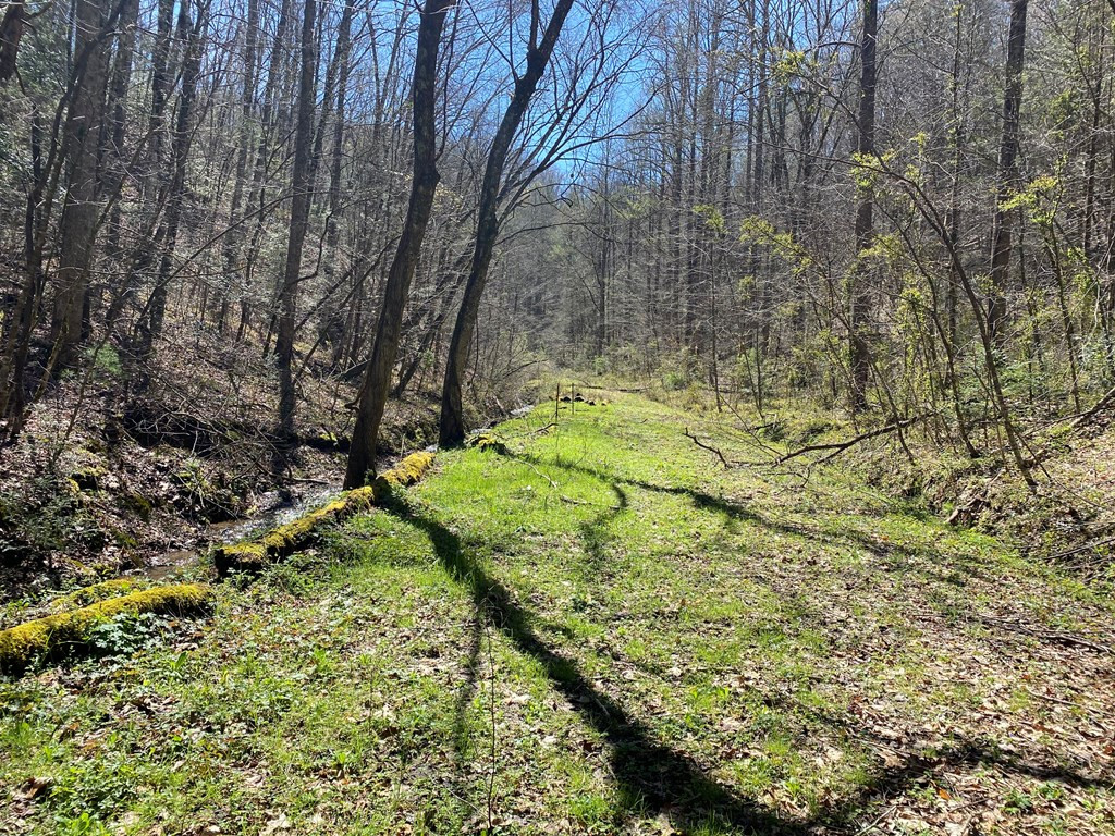 0 Valley Springs Way Sevierville TN 37862