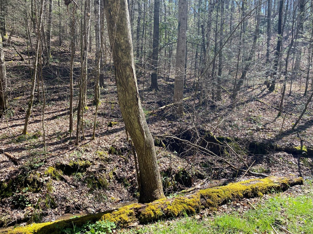 0 Valley Springs Way Sevierville TN 37862
