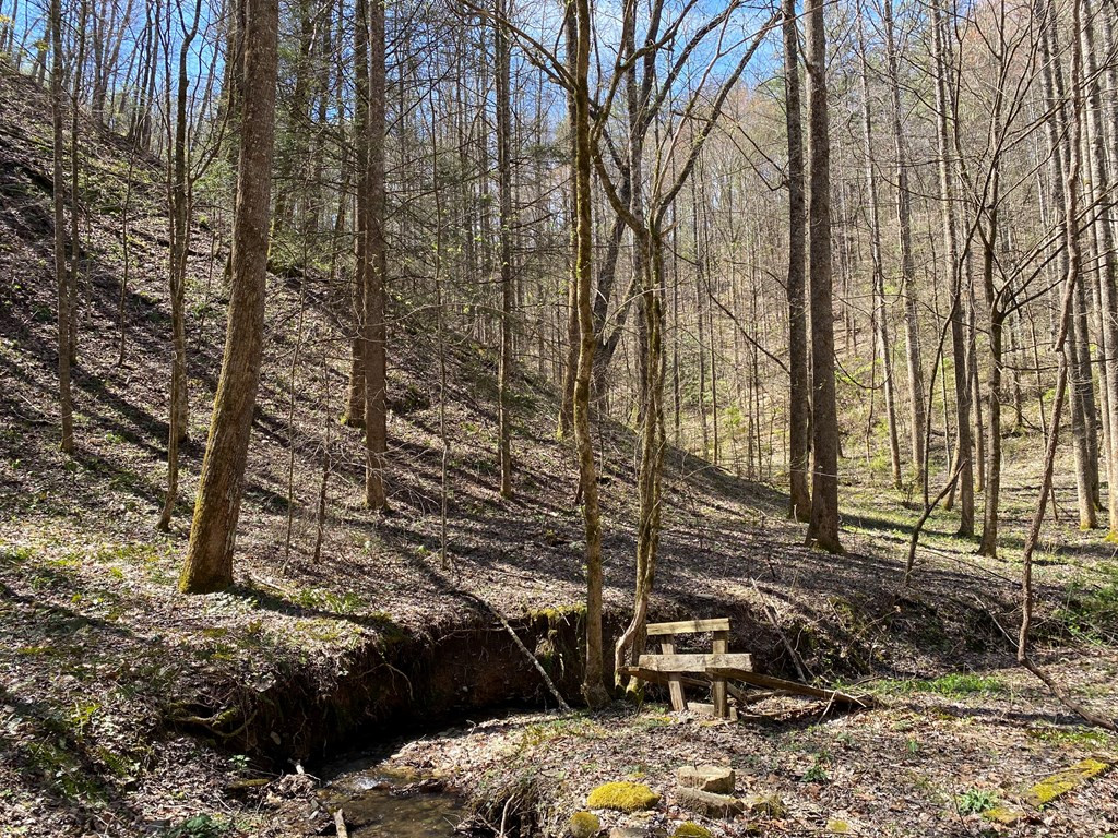 0 Valley Springs Way Sevierville TN 37862