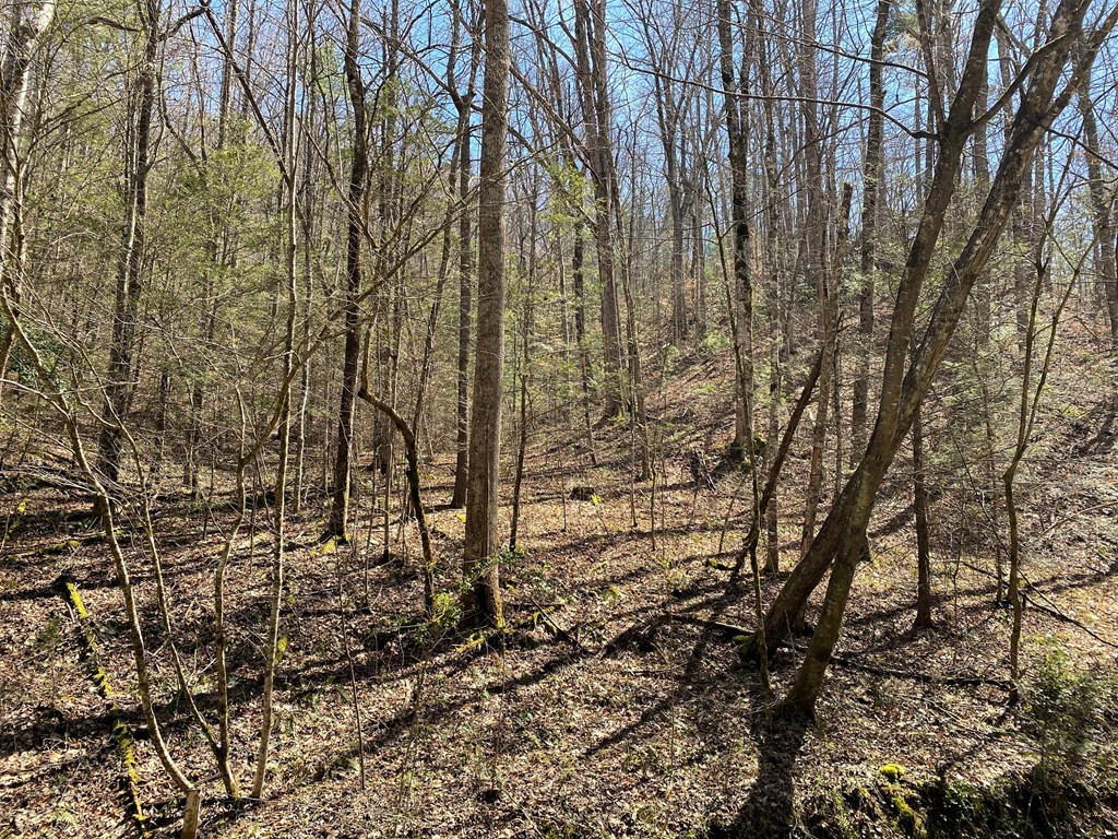 0 Valley Springs Way Sevierville TN 37862