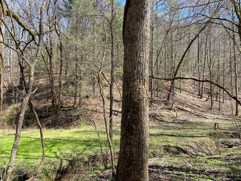 0 Valley Springs Way Sevierville TN 37862