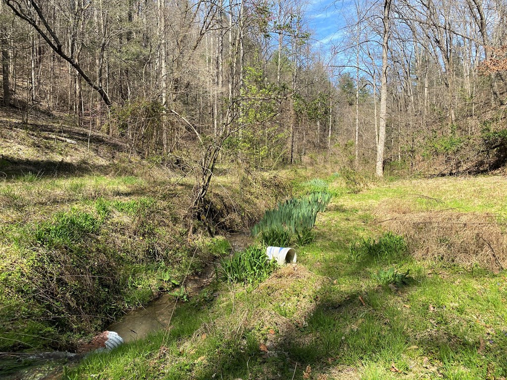 0 Valley Springs Way Sevierville TN 37862
