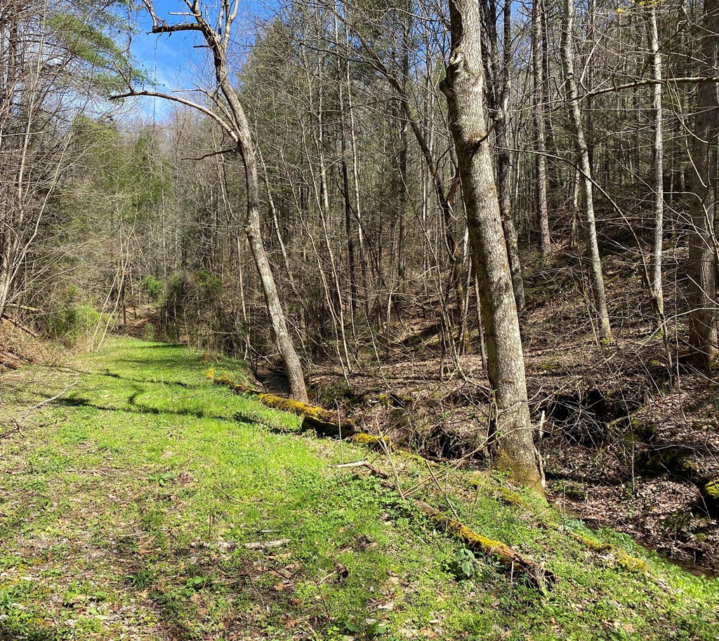 0 Valley Springs Way Sevierville TN 37862