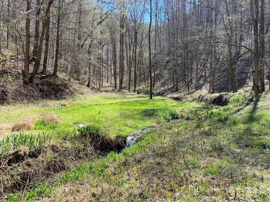 0 Valley Springs Way Sevierville TN 37862