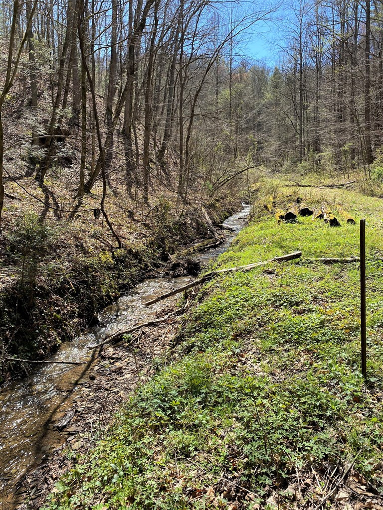 0 Valley Springs Way Sevierville TN 37862