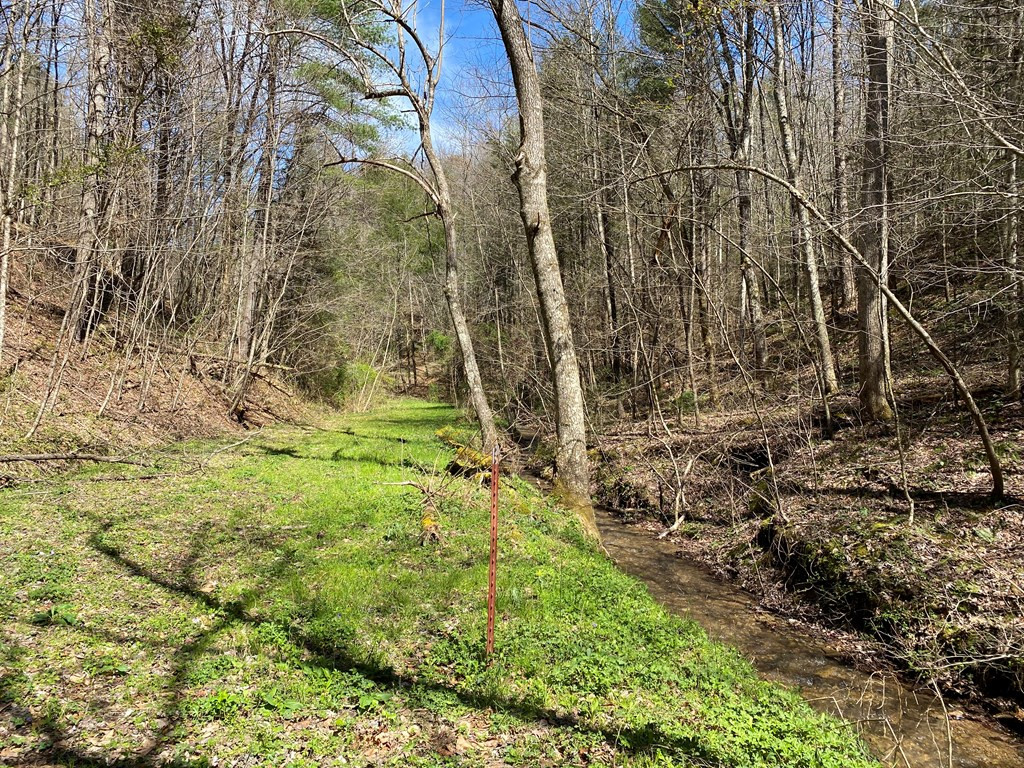 0 Valley Springs Way Sevierville TN 37862